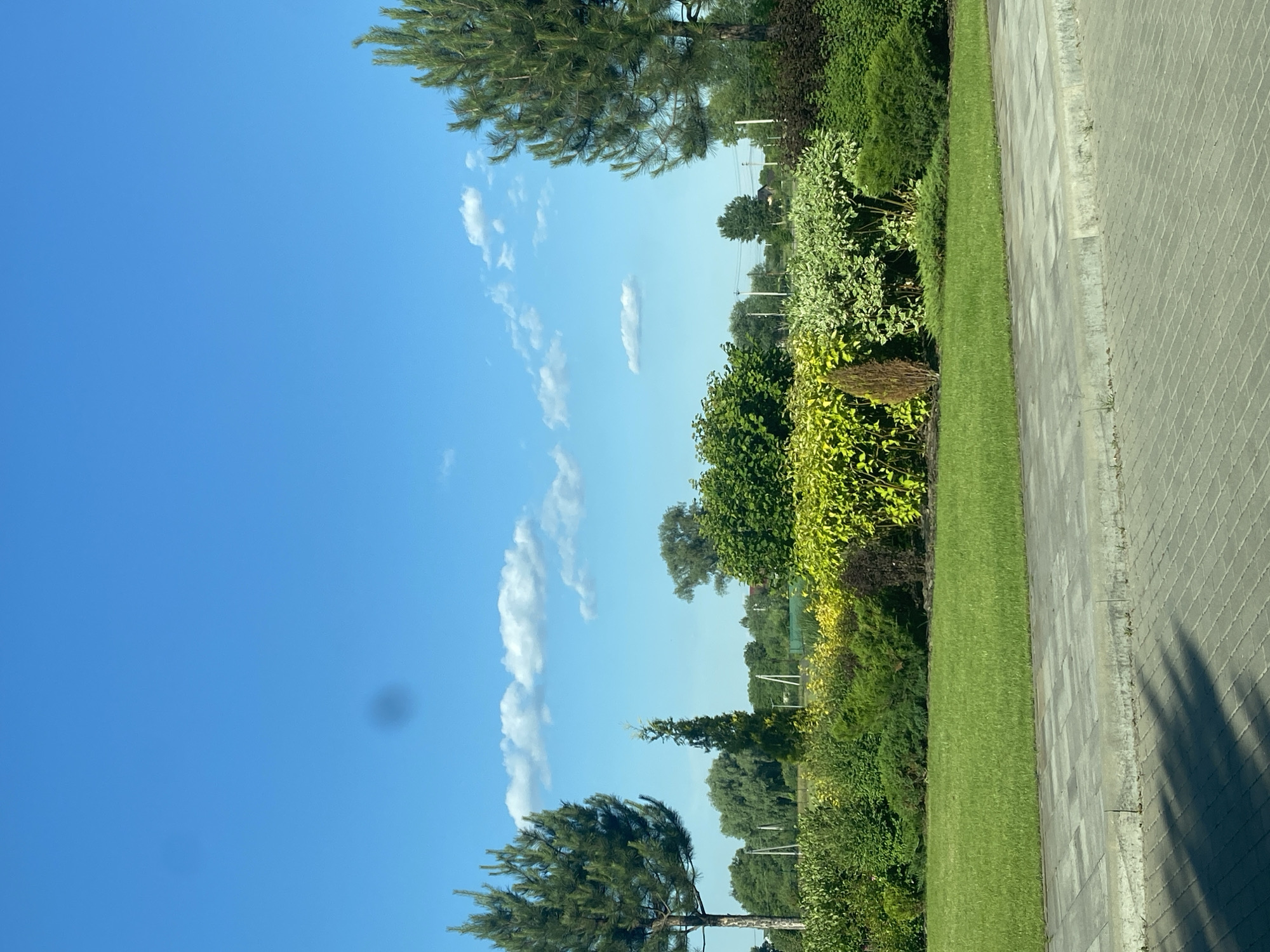 The image captures a sunny day in Rozhny, Ukraine, featuring a well-maintained landscape. The foreground is dominated by a paved walkway made of grey rectangular bricks, bordered by a concrete curb. Beyond the walkway lies a vibrant green lawn, meticulously mowed. Behind the lawn is a meticulously landscaped garden bed filled with a variety of green and yellow shrubs and bushes. Two tall evergreen trees, likely pines, frame the sides of the garden, with the one on the left appearing slightly shorter and wider. In the middle distance, a dense line of trees and foliage stretches across the horizon, interspersed with utility poles and wires. The sky above is a clear, bright blue, punctuated by a few wispy white clouds. Two circular, dark smudges are visible in the upper portion of the sky, likely lens artifacts. The overall impression is one of a peaceful, manicured outdoor space on a pleasant day.