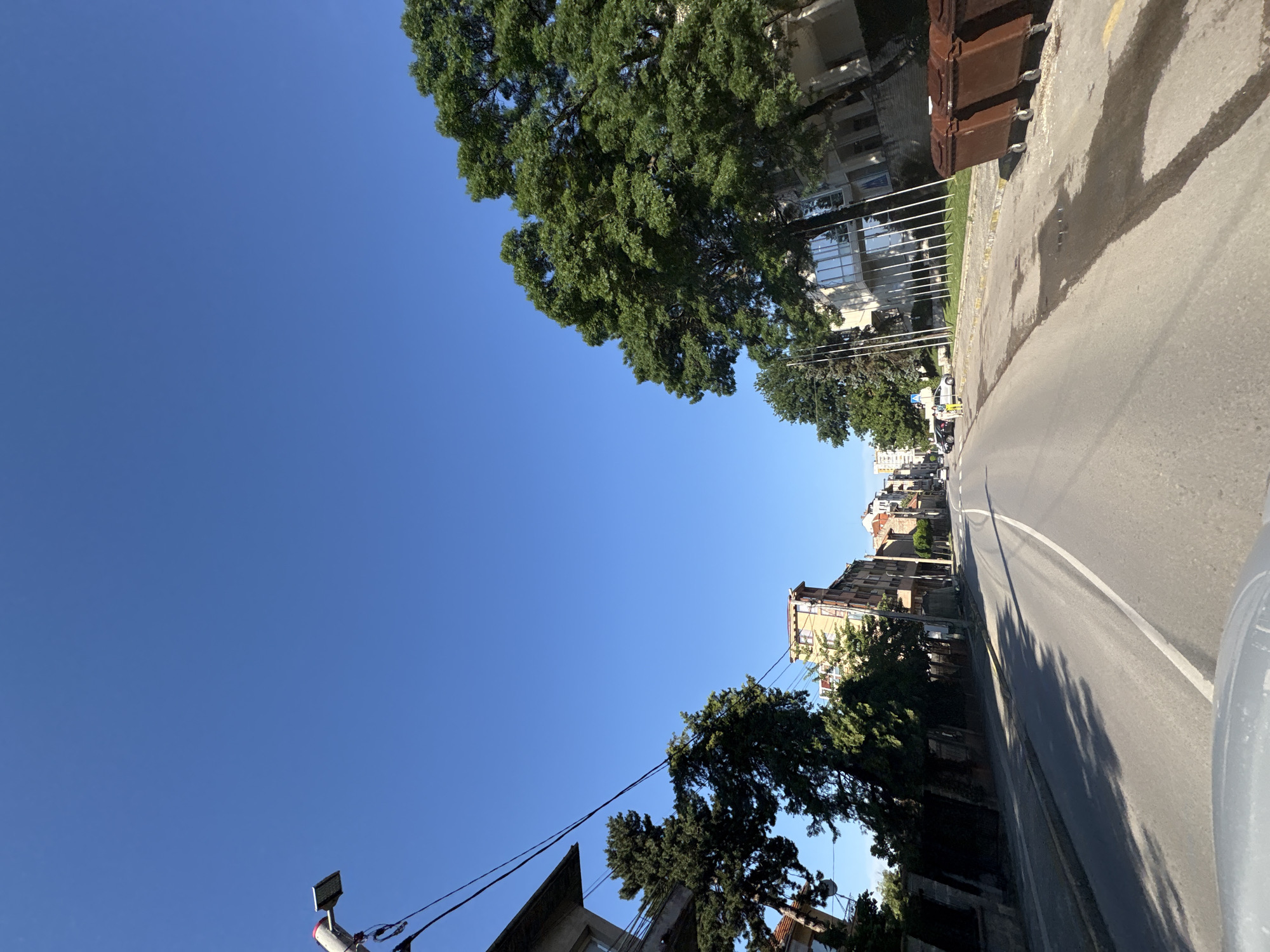 The image captures a street scene in Vratsa, Bulgaria, under a clear blue sky. The perspective is from a vehicle, looking down a paved road lined with buildings and trees. On the left side of the road, there are several buildings, some with balconies, and dense evergreen trees. Power lines are visible strung between poles and across the street.
On the right side of the road, a large, modern building with a glass facade stands behind a row of tall, slender poles. Adjacent to this building, several large, brown trash bins are positioned along the sidewalk. The road itself has white lane markings. In the distance, more buildings and trees line the street, and a few vehicles are visible, suggesting moderate traffic. Shadows from trees and buildings are cast across the road and sidewalk. The overall impression is a typical urban street on a sunny day.