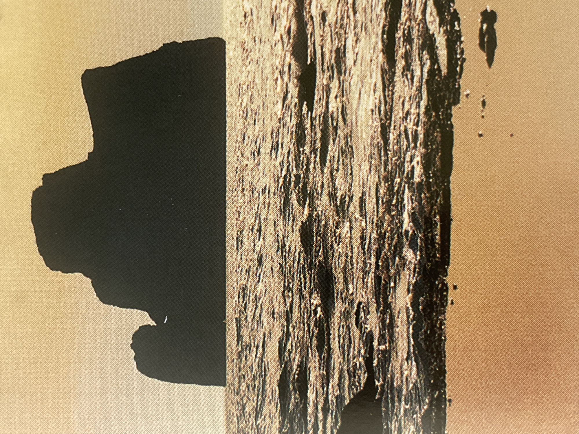 This image depicts a silhouette of a large rock formation in the ocean, with a sandy beach in the foreground. The sky is a pale, golden color, suggesting either sunrise or sunset. The ocean is choppy, with sunlight reflecting off the waves. There are no people or man-made objects visible in the image. The location is not in Sofia, Bulgaria, as Sofia is an inland city and does not have a coast.