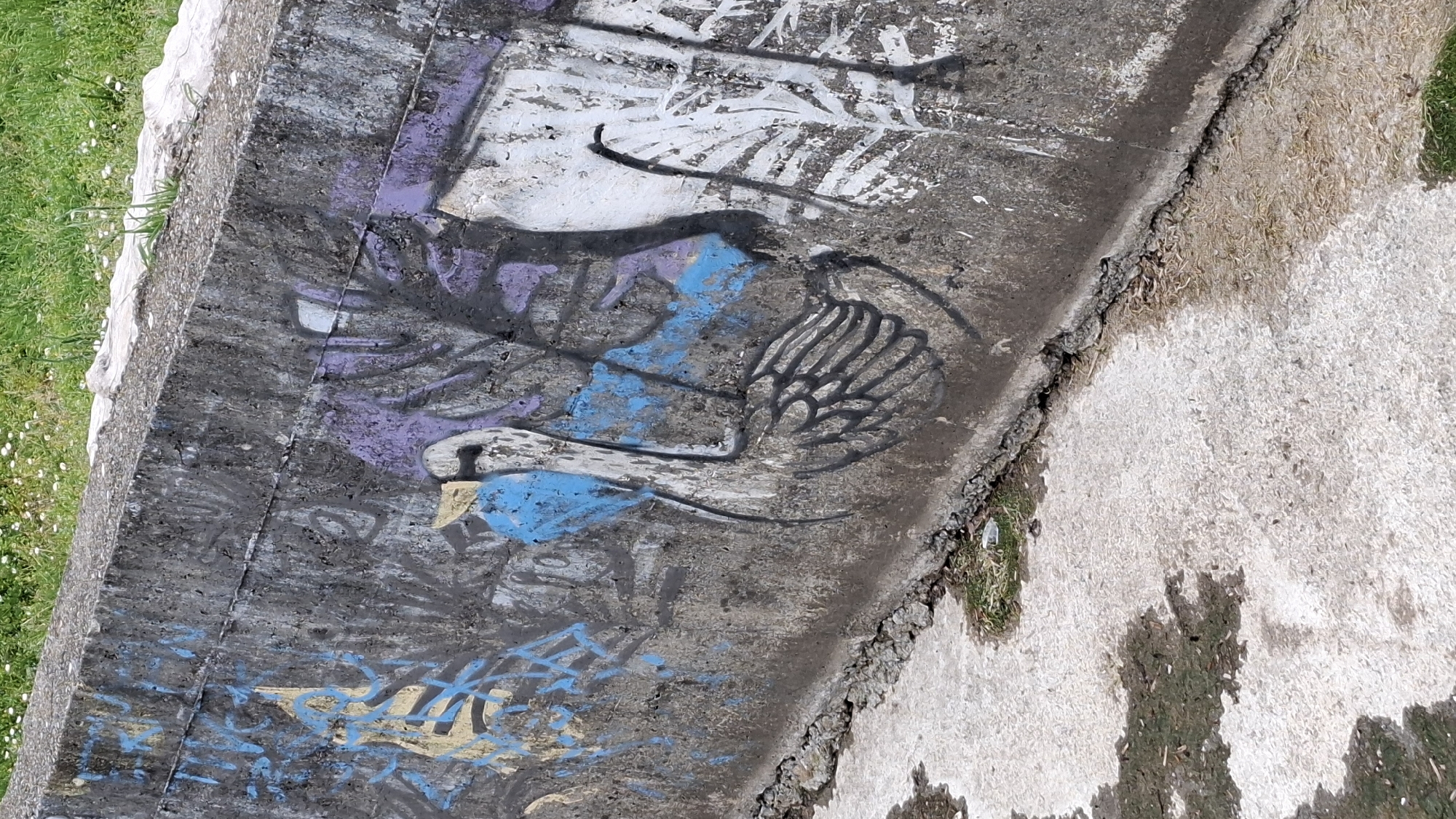 A concrete wall with graffiti, situated near a grassy area, likely in Budva, Montenegro. The graffiti features blue and purple paint, including an image resembling a bird. There is also abstract white paint. The wall is weathered with some visible cracks and debris along the edge where it meets a lighter-colored surface. Grass grows on the left and some in the crack. The lighter colored surface is also concrete.