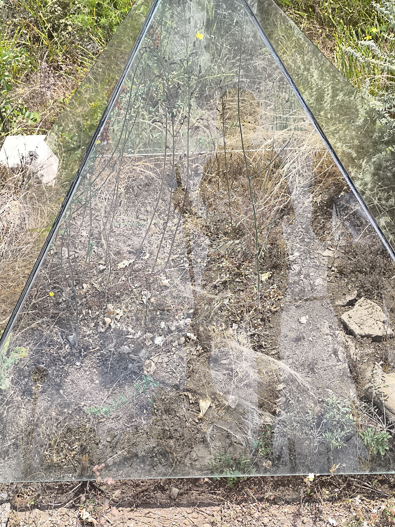 The image shows a triangular pane of glass resting on the ground, possibly as part of an outdoor display or temporary enclosure. The glass is transparent, allowing a view of the dry, dusty soil and sparse vegetation beneath it. The ground is covered with dry grass, small stones, and fallen leaves. Some green plants are visible pushing through the dry soil, indicating resilience in the arid environment. In the background, more dry vegetation and some patches of green foliage can be observed. The overall scene suggests a dry, natural setting, possibly in a rural or undeveloped area. The location is identified as Dolen, Bulgaria. There are no people, animals, or visible actions taking place in the image. The glass itself appears to be clean and smooth, with no obvious damage. The lighting suggests it is daytime, with sunlight casting shadows.