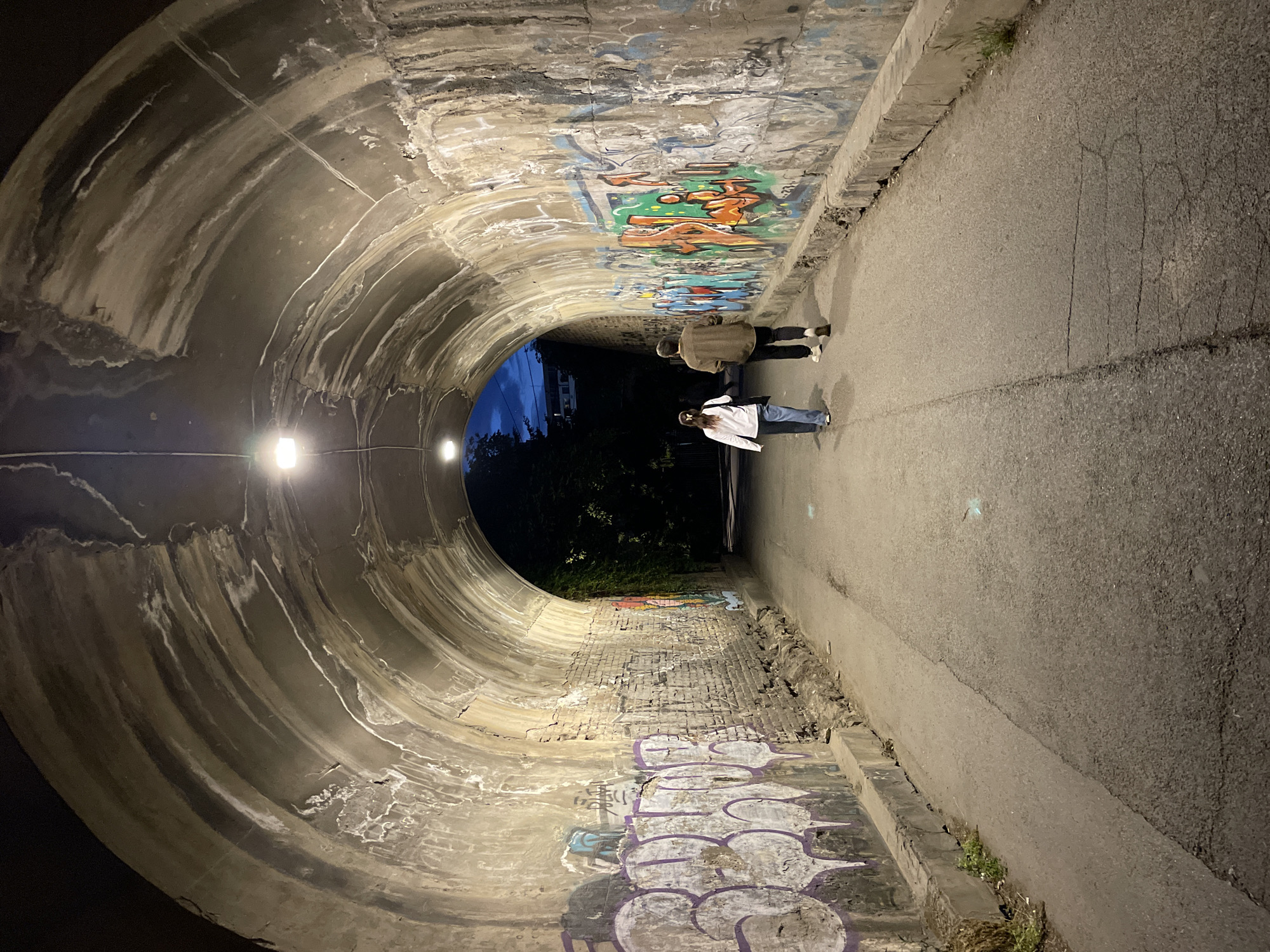Two individuals walk through a concrete tunnel in Zemun Urban Municipality, Serbia. Graffiti covers the tunnel walls. A light illuminates the interior, while the tunnel's exit reveals a night sky and trees. One person is wearing a jacket, and the other is wearing a white shirt and jeans. The tunnel appears to be part of a pedestrian or bicycle path. The ground is paved.