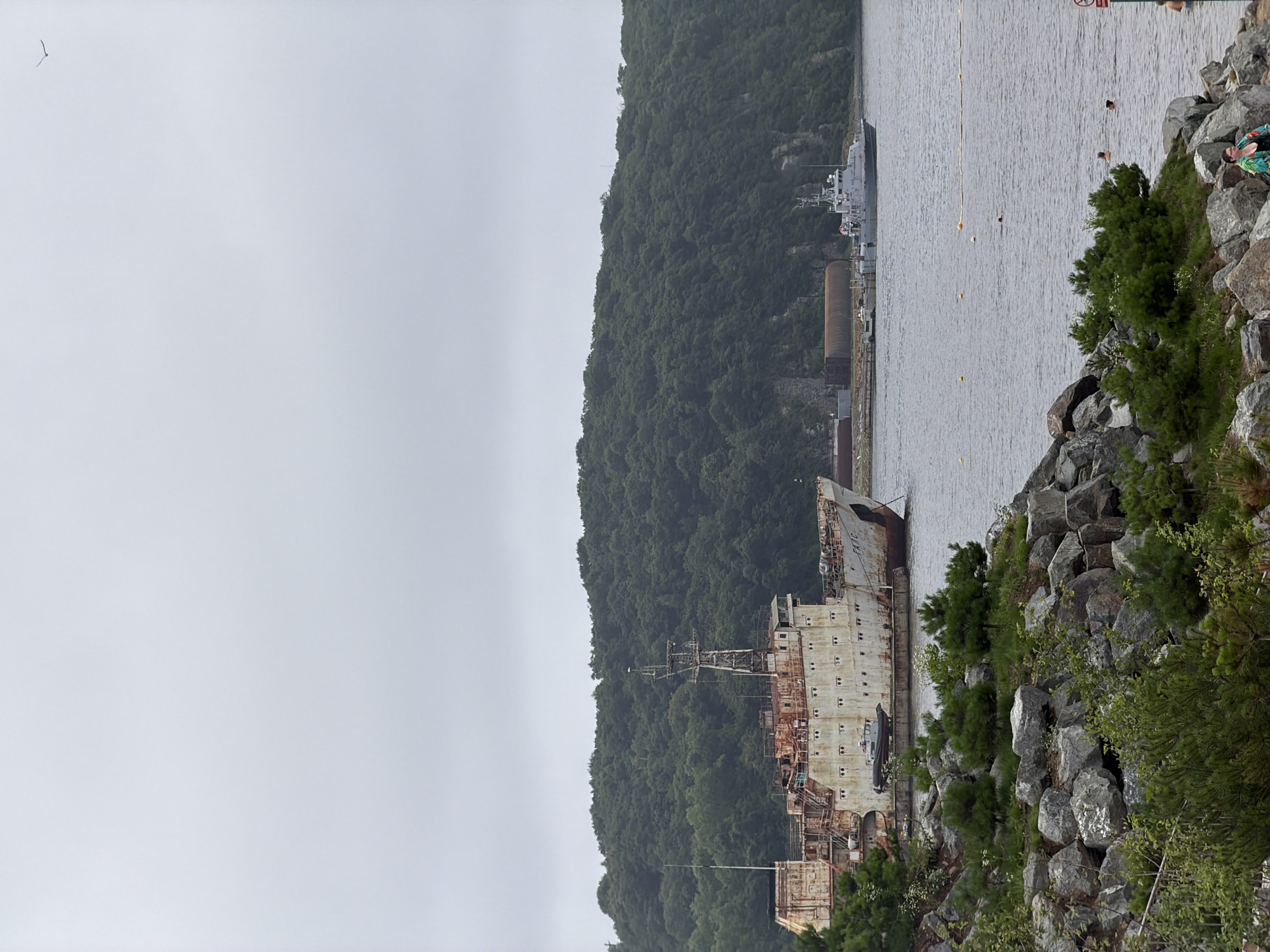 A wide, overcast shot captures a coastal scene with several vessels and a lush, tree-covered hillside. In the foreground, a rocky embankment is covered with green vegetation. In the middle ground, a large, old, white, rusty ship with many windows is moored. A smaller, gray boat is positioned below the large ship. Further out on the water, a gray, modern patrol boat is visible. The water is calm and gray, with a few yellow buoys and a yellow rope marking off an area. Several people are swimming and wading in the water. The background features a steep, densely wooded hillside. In the far background, industrial structures and more vessels are visible. The overall atmosphere is somber and industrial, with a touch of recreational activity. The presence of the abandoned ship and industrial elements suggests a port or shipyard area, possibly in Vladivostok, Russia, given the landscape and shipbuilding history.