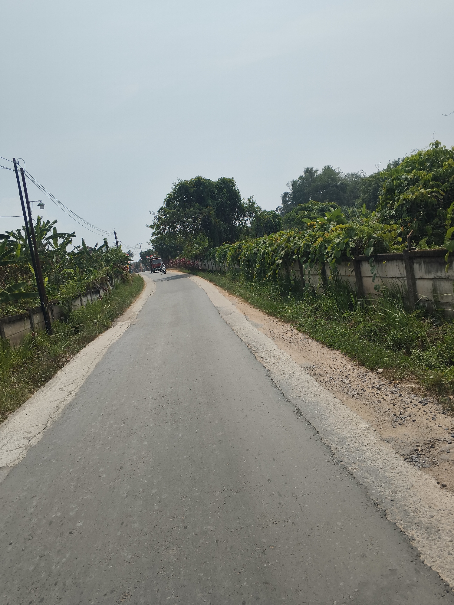 The image depicts a paved road curving to the left, bordered by a low concrete wall on the right, which is overgrown with lush green vegetation. On the left side of the road, there are banana trees and a utility pole with wires and a lamp. Further down the road, a motorcycle is visible with a rider, and a red vehicle is also present. The sky is overcast. The scene is identified as being in Banjar Agung, Indonesia.