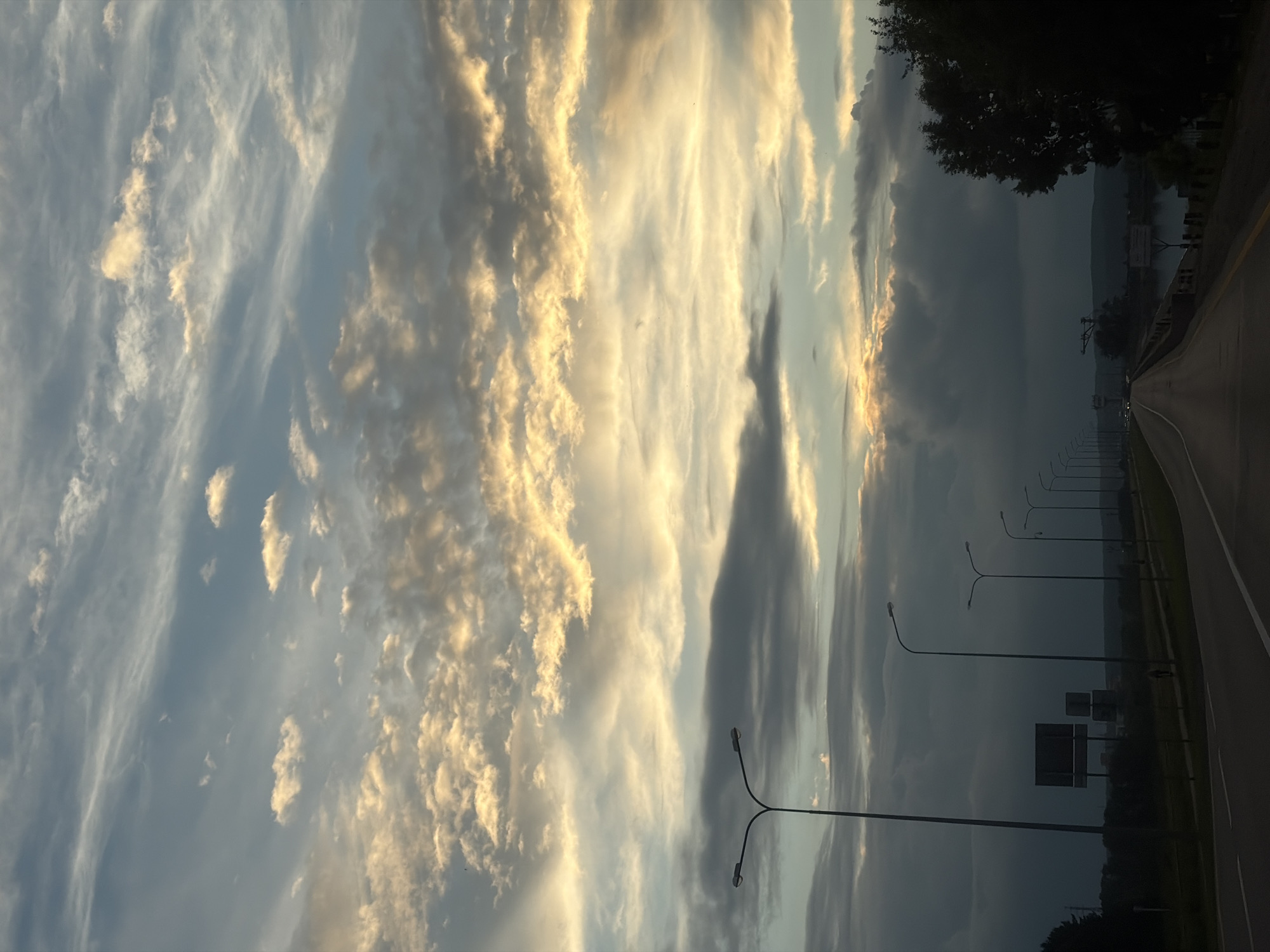 This is a vertical, low-angle shot of a road and a dramatic sky filled with clouds. The sky dominates the left side of the frame, featuring wispy, light-colored clouds illuminated by what appears to be the setting or rising sun. These clouds are a mix of white and golden hues, creating a soft, ethereal glow. Interspersed with these are darker, more ominous clouds, adding depth and contrast to the sky.
On the right side of the image, a paved road stretches into the distance, curving gently to the right. The road is flanked by a row of streetlights, their thin poles and lamps visible against the dusky background. In the far distance, the land fades into a hazy silhouette of hills or mountains. A few trees are visible on the right edge of the frame, with one large, dark tree in the upper right corner obscuring a portion of the sky.
The scene suggests a transitionary time of day, likely early morning or late evening, due to the lighting of the clouds. The overall mood is one of natural beauty and perhaps a touch of drama, evoked by the contrast between the brightly lit clouds and the darkening landscape. No people are visible in the image. There is no visible text. The location context is Chaikovsky, Russia.