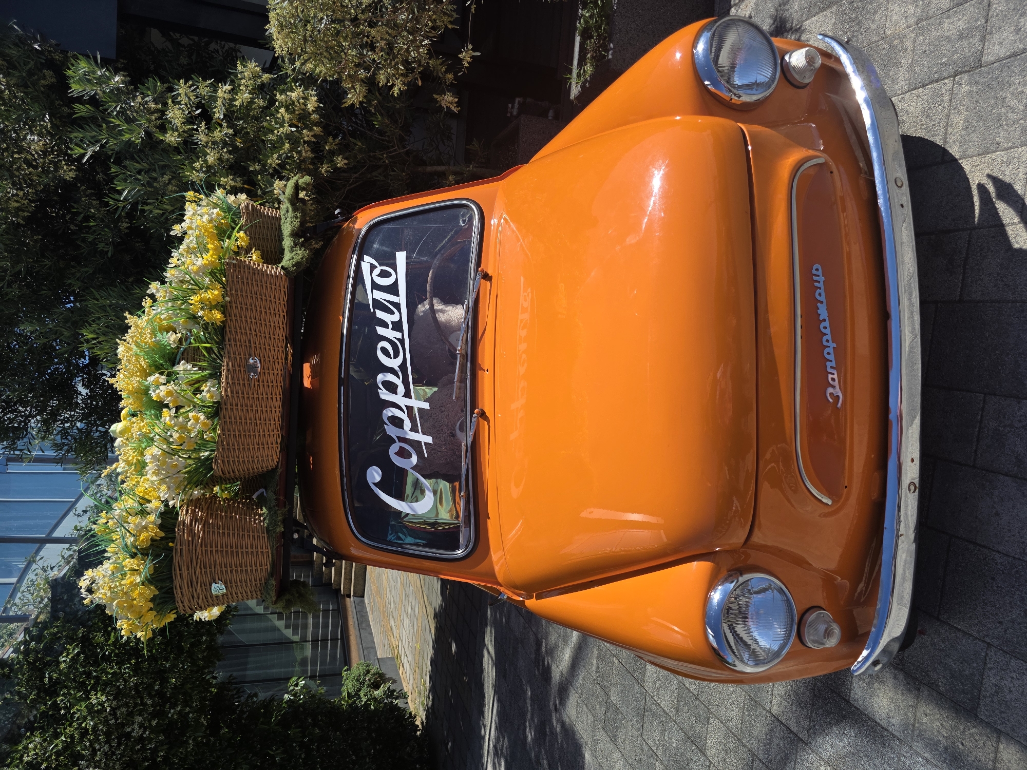 An orange, vintage-style compact car, identified by the Cyrillic script "Запорожець" (Zaporozhets) on its front grille, is parked on a light grey tiled surface under direct sunlight. The car is equipped with chrome bumpers, round headlights, and small clear turn signals. White Cyrillic script spelling "Сорренто" (Sorrento) is affixed to the upper portion of the windshield. A roof rack supports three large, light brown woven baskets, each overflowing with artificial yellow and white flowers resembling daffodils. The car's interior is not distinctly visible, though a light-colored, textured object is discernible in the driver's seat area through the windshield. Lush green foliage, including dense bushes and trees, frames the car on both sides. In the background, a modern building with extensive glass windows and visible exterior staircases ascends. Shadows from the car and surrounding vegetation are cast onto the pavement. The scene is situated in the city of Sochi, Russia.