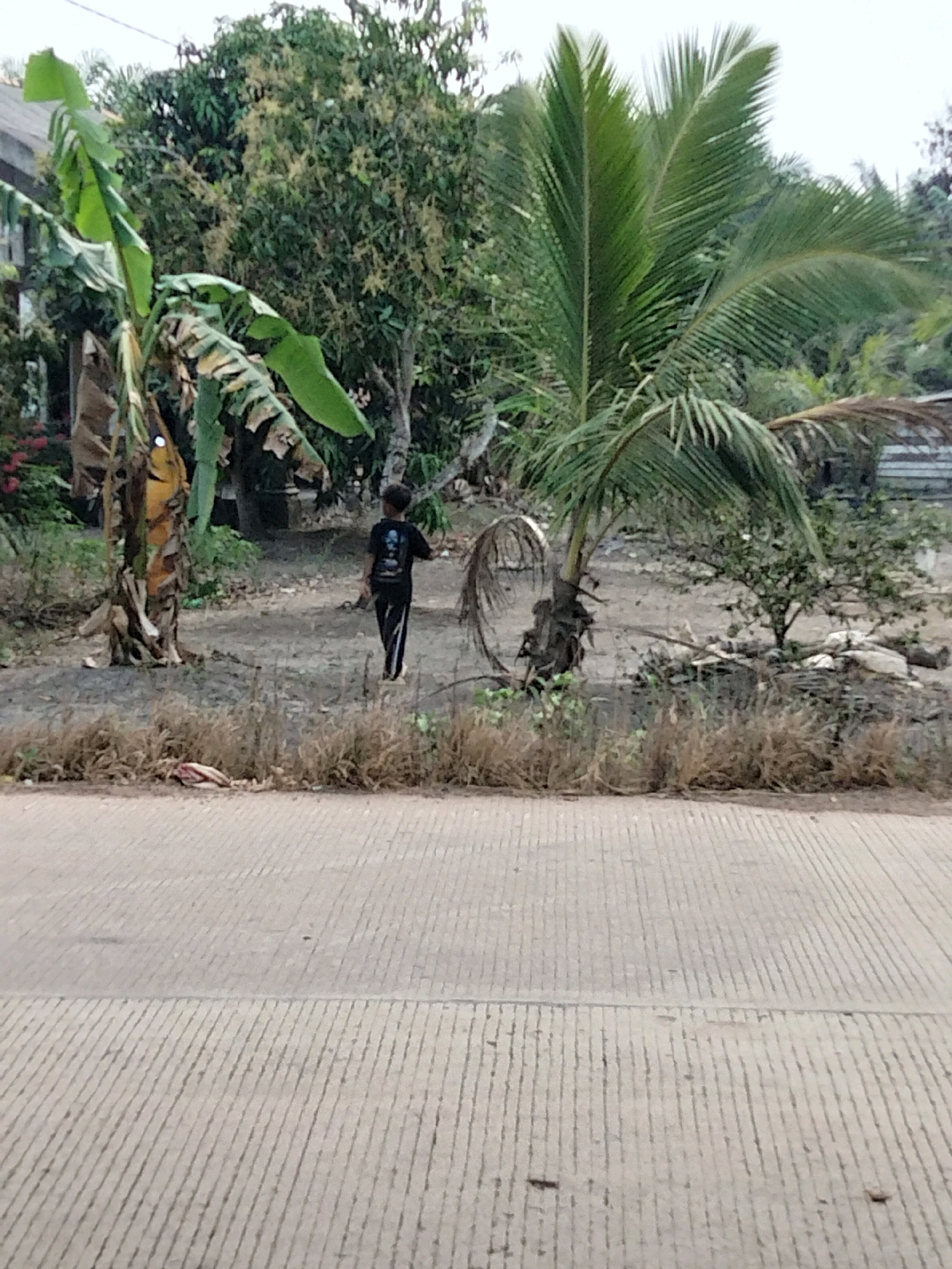 In Perambahan, Indonesia, a young boy in a black t-shirt and pants walks away from the camera on a dirt path next to a road. He is positioned between a banana tree and a coconut palm tree. The background is filled with dense vegetation and trees, suggesting a rural or semi-rural environment. A small building is partially visible to the left, and debris is scattered on the ground. The road in the foreground is paved with concrete and has distinct parallel lines.