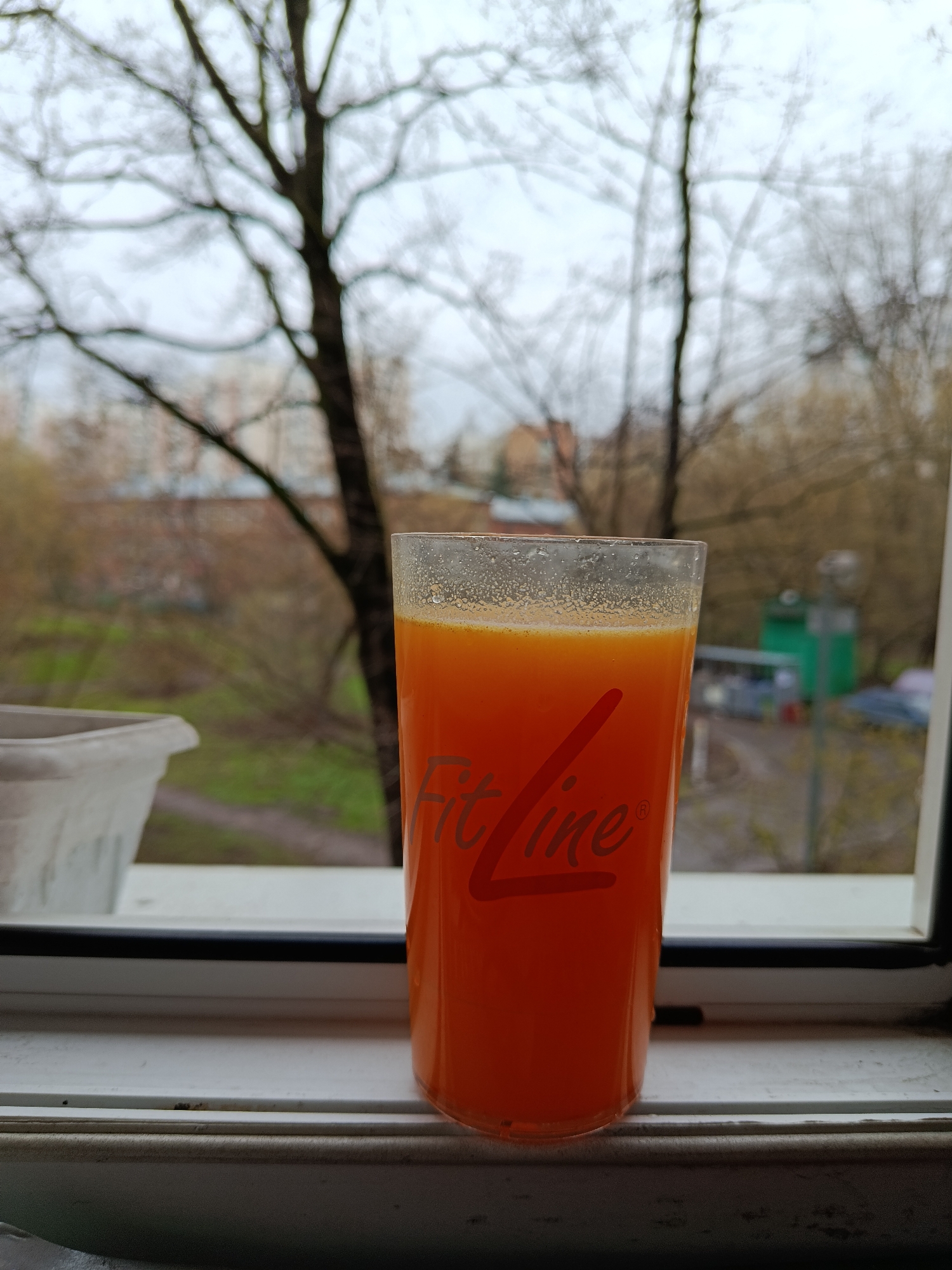 A tall glass of orange juice with "FitLine" printed on it sits on a windowsill. Outside the window, trees are visible with bare branches, indicating a fall or winter season. Buildings are seen in the background, likely apartment complexes. Based on the architecture, street layout, and general appearance, the location is consistent with a residential area in Moscow, Russia. No people are visible. A flower pot is to the left of the glass. The light suggests an overcast day.