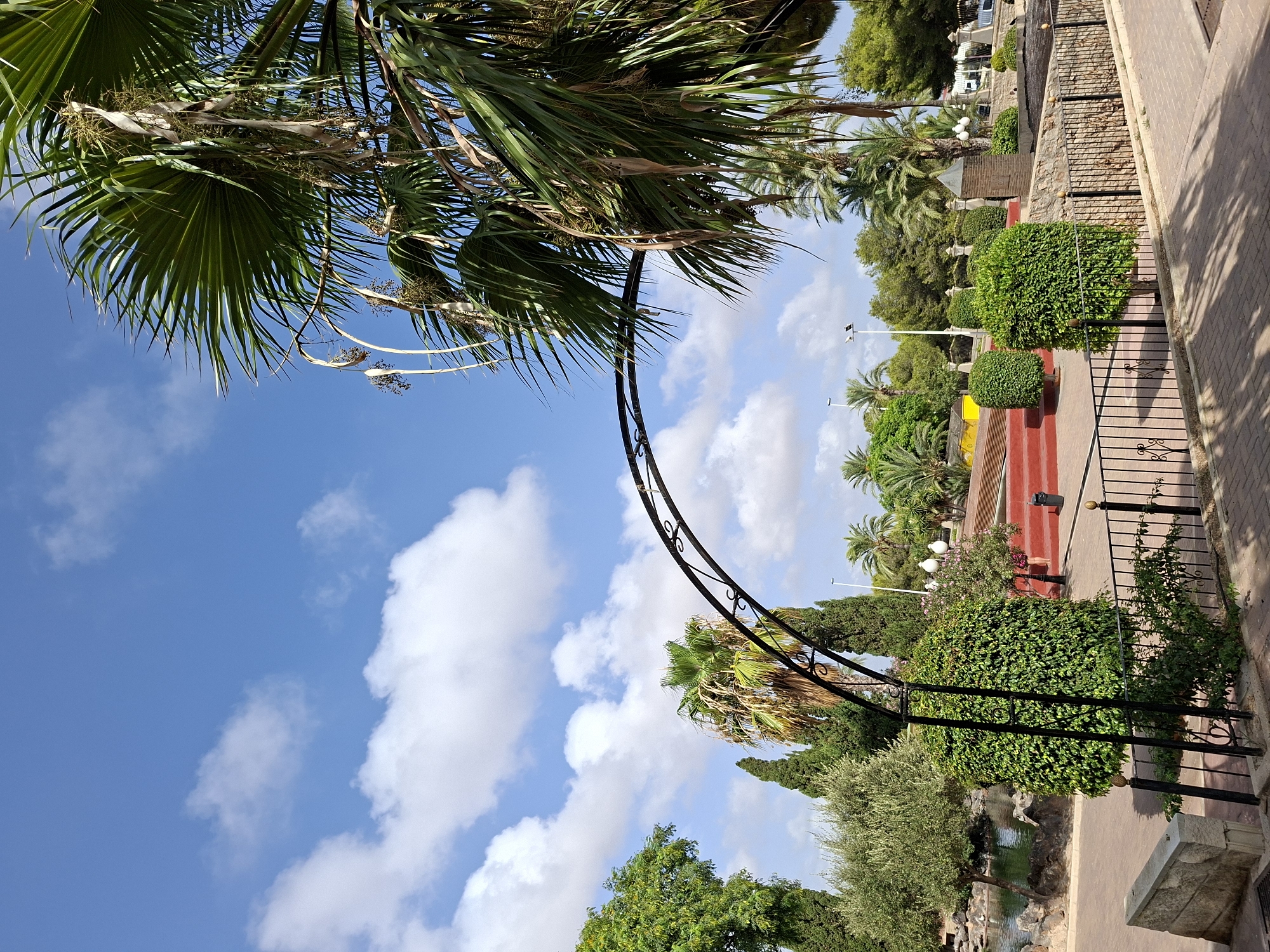 The image depicts a park in Torrevieja, Spain, with a clear blue sky dotted with white clouds. In the foreground, a black metal archway frames a view into the park. To the right, the fronds of a large palm tree overhang the scene. The park features manicured green bushes, trees including cypress and olive trees, and a pond or water feature. In the background, there are red tiered steps leading to a yellow structure, and more palm trees and lush greenery. Several lights are visible, suggesting the park is equipped for evening use. A black metal fence runs along a paved pathway. No people are visible in the frame.