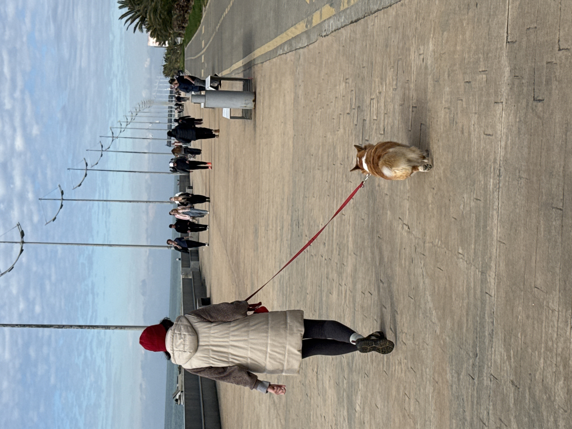 The image depicts a serene daytime scene along the seaside promenade in Batumi, Georgia. In the foreground, a person is seen from behind, wearing a red beanie, a light cream-colored puffer vest over a dark long-sleeved top, dark leggings, and dark sandals. They are holding a red leash, which extends to a brown and white Corgi-like dog walking a short distance ahead of them on the paved promenade.
To the left, the expansive blue-grey water of the Black Sea stretches towards the horizon, under a sky with scattered clouds. A long line of identical, slender streetlights or decorative poles with curved crossbars extends into the distance along the promenade's edge. Further down the promenade, several other individuals and small groups of people are visible, some walking and others appearing to be resting on metallic benches.
To the right of the main walking area, a narrower asphalt path with yellow dividing lines suggests a separate lane, possibly for cycling or a different pedestrian route. This path is bordered by green foliage and distant palm trees. The overall atmosphere suggests a calm, leisurely stroll on a mild, overcast day along a bustling coastal walkway. There is no visible text in the image.