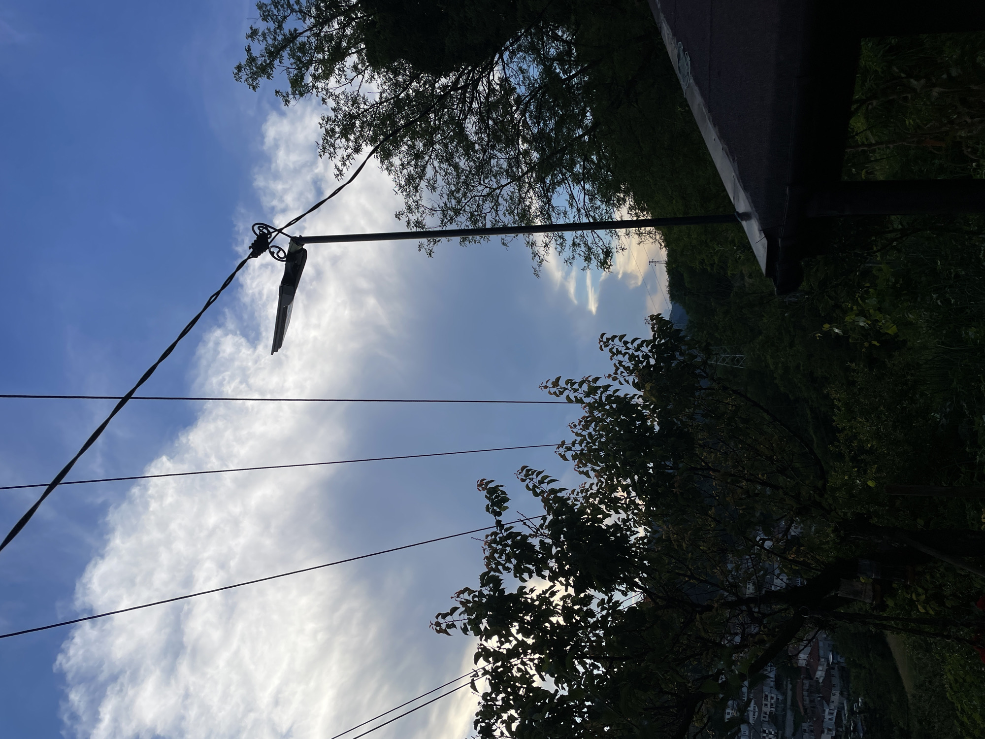 The image depicts an outdoor scene featuring a prominent streetlamp silhouetted against a cloudy blue sky. Several power lines crisscross the frame, adding to the urban or semi-urban feel. In the foreground, the dark silhouette of a roof and supporting structure is visible on the right. To the left and center, lush green trees with dark foliage are present, some with small red fruits. In the distance, a hillside populated with houses, featuring red-tiled roofs, suggests a settlement. The overall atmosphere is somewhat overcast, hinting at either early morning or late afternoon light. The location is identified as Zlatograd, Bulgaria.