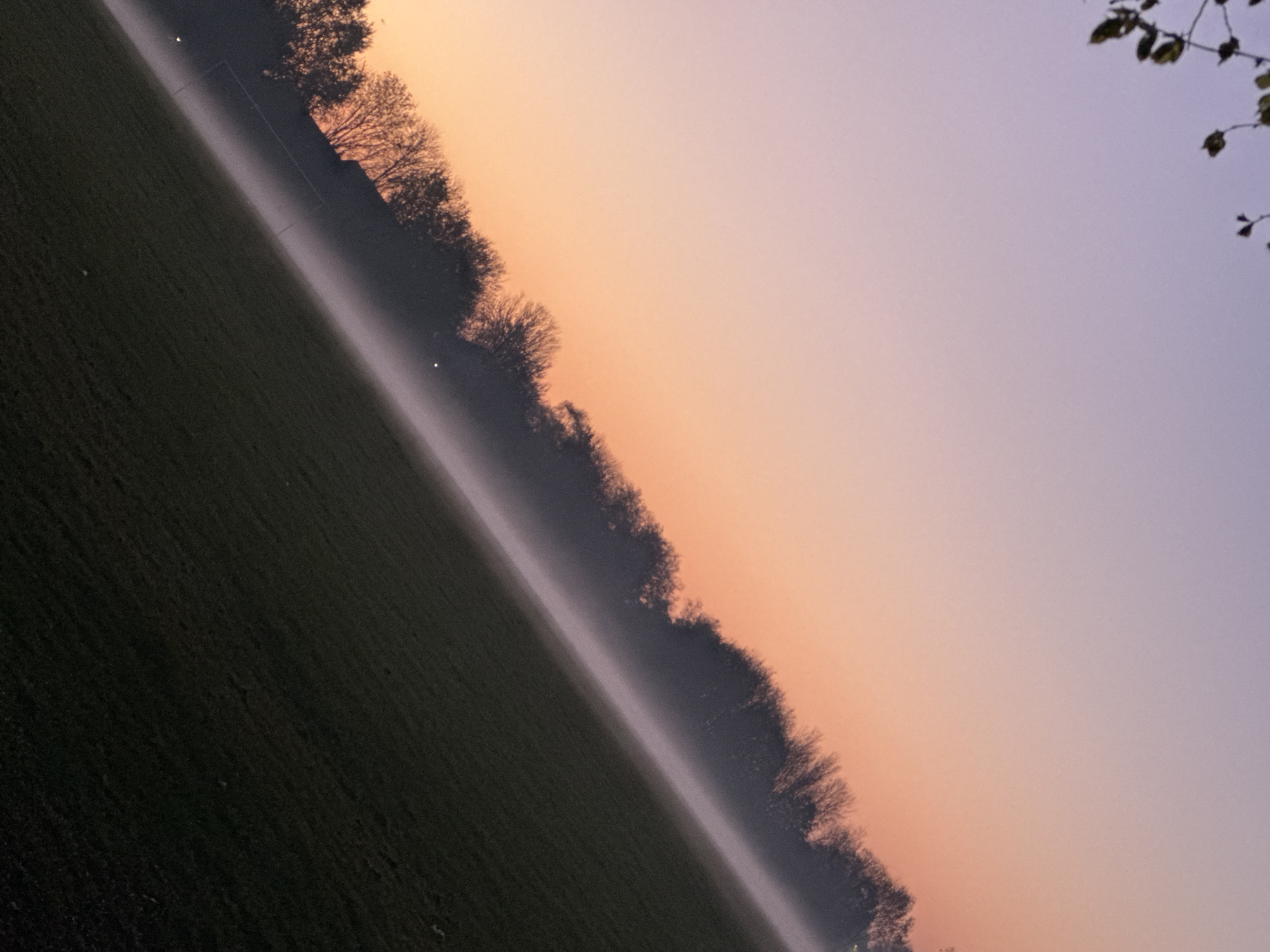 The image depicts a grassy field in London, United Kingdom, separated from a line of trees by a band of fog. In the background, the sky transitions from orange near the trees to a light purple at the top of the frame. A soccer goal is visible near the trees. Some leaves can be seen in the upper right corner of the image. The image appears to be taken at an angle, as the field and the line of trees are not aligned horizontally or vertically in the frame.