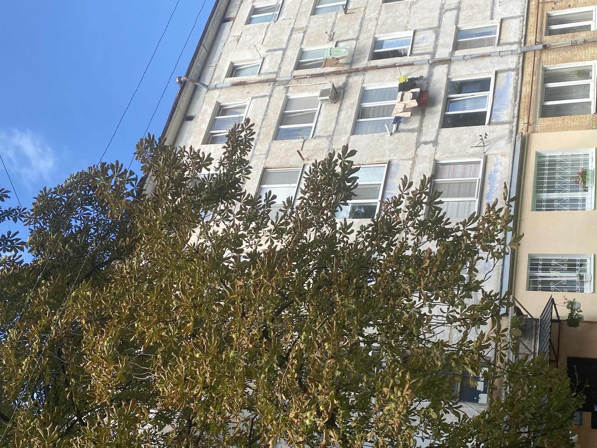 The image shows a close-up of a building facade in Poltava, Ukraine, partially obscured by the leaves and branches of a chestnut tree. The building is a multi-story apartment block with a light gray, weathered exterior. Several windows are visible, some with white frames and grills. Laundry hangs on a line outside one of the windows on the upper floors, including shirts and what appears to be towels. An air conditioning unit is mounted on the wall between two windows. A rusty downspout runs vertically along the building. Below the main apartment block, a section of a lighter-colored building with a covered entrance is visible. The sky is a clear blue with a few wispy clouds. The chestnut tree has green and brown leaves, some of which appear to be drying or turning color, and small, green, spiky seed pods are visible among the leaves. The overall impression is of an urban residential area, possibly in the autumn.