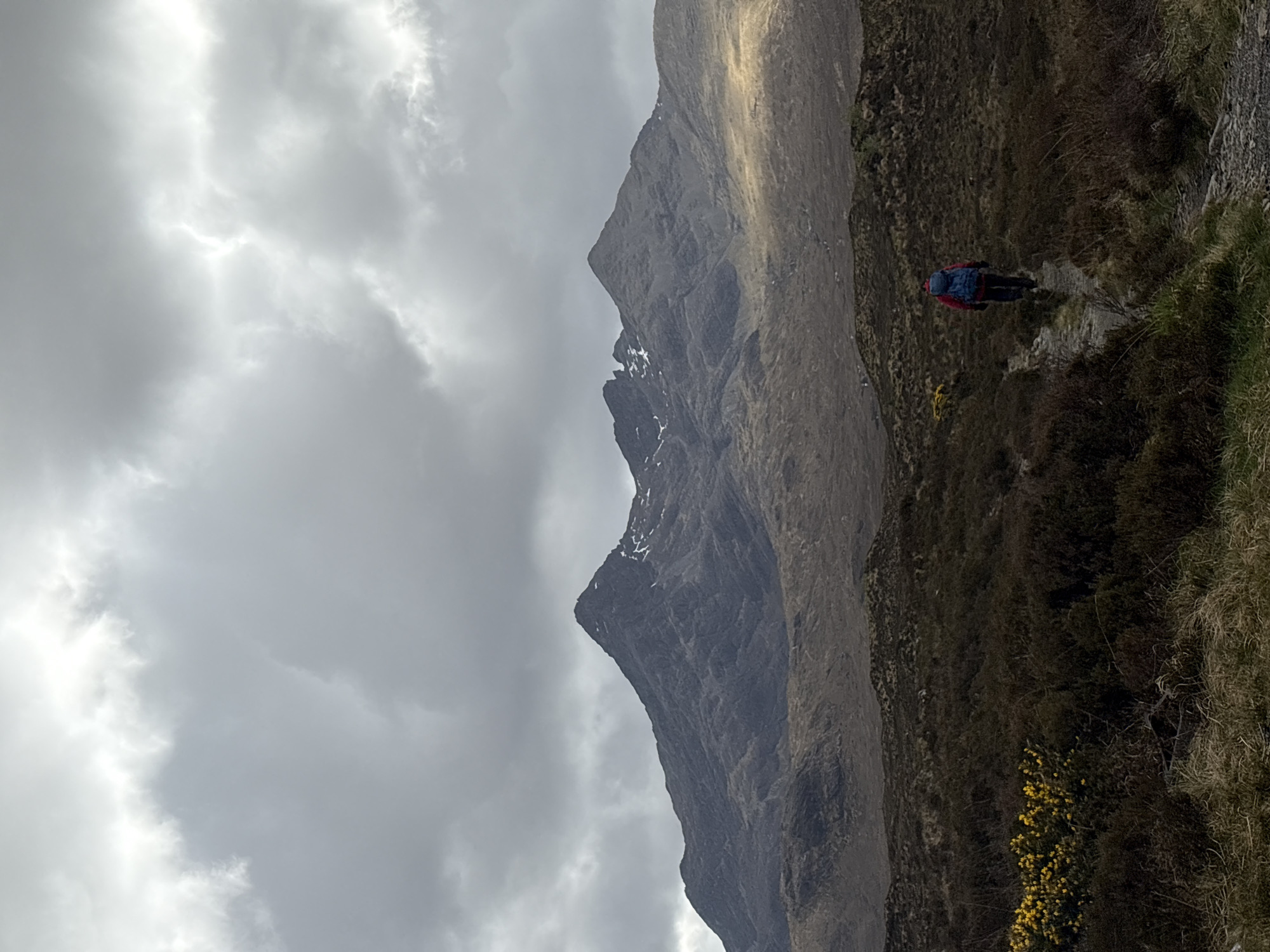 The image presents a mountain landscape on the Isle of Skye in the United Kingdom under an overcast sky. A prominent mountain with a rocky peak dominates the left side of the frame, its slopes exhibiting barren terrain with patches of snow near the summit. To the right, a hillside descends, covered in a mix of grasses and scrub vegetation. A hiker with a blue backpack and red jacket is seen on a trail traversing the hillside. Yellow flowering shrubs are visible along the edge of the hillside. The overall atmosphere is remote and rugged.