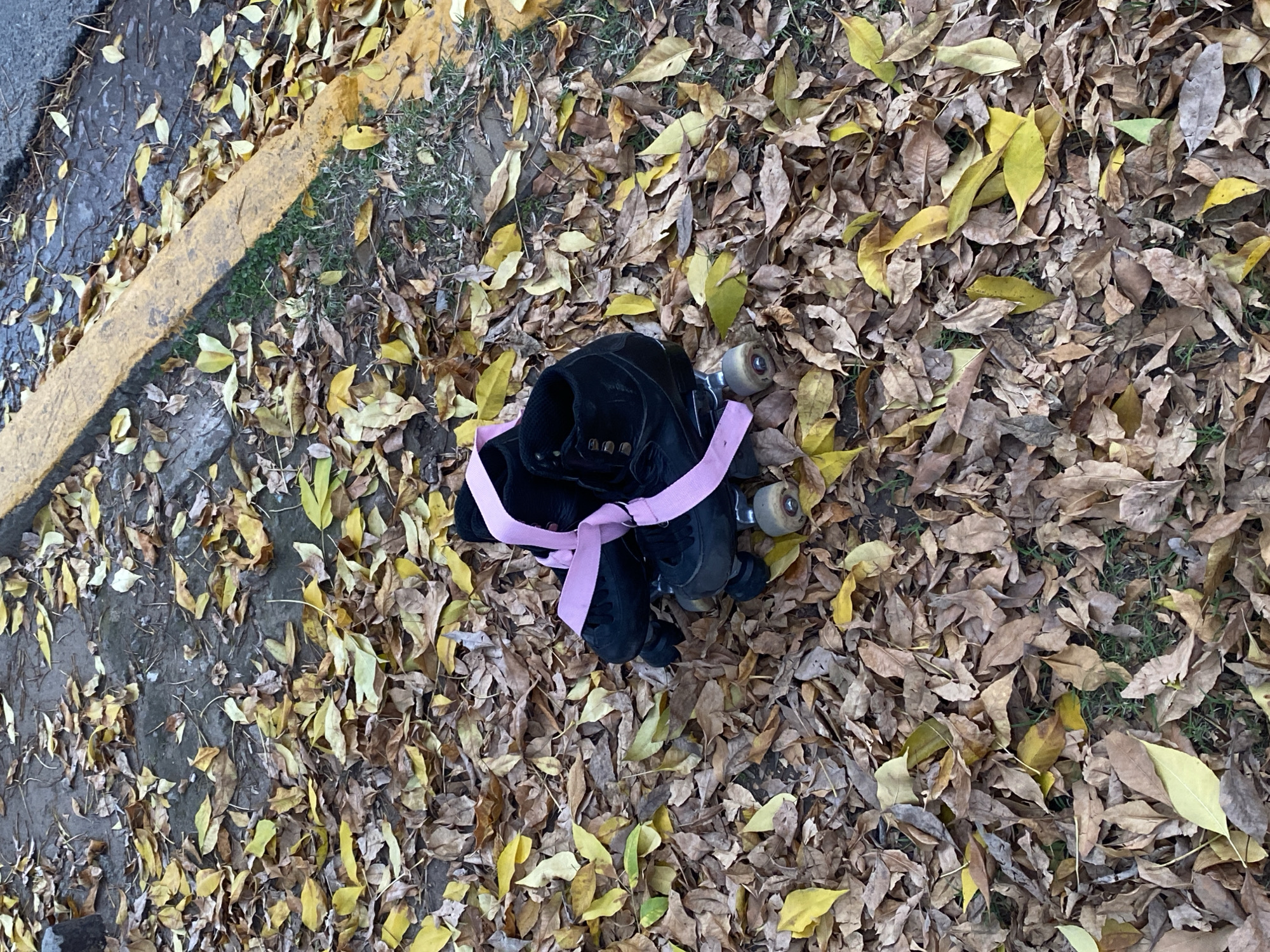 Location: Monte Grande, Argentina. A pair of black roller skates secured with a pink strap rests on a bed of fallen, dried leaves, predominantly brown and yellow. The skates are positioned centrally in the frame. The surrounding environment consists of a mix of dry leaves scattered across the ground. To the left, there is a concrete area with a yellow curb marking the edge. The overall scene suggests an outdoor setting, possibly a park or roadside in autumn. There are no people or other subjects present in the frame.