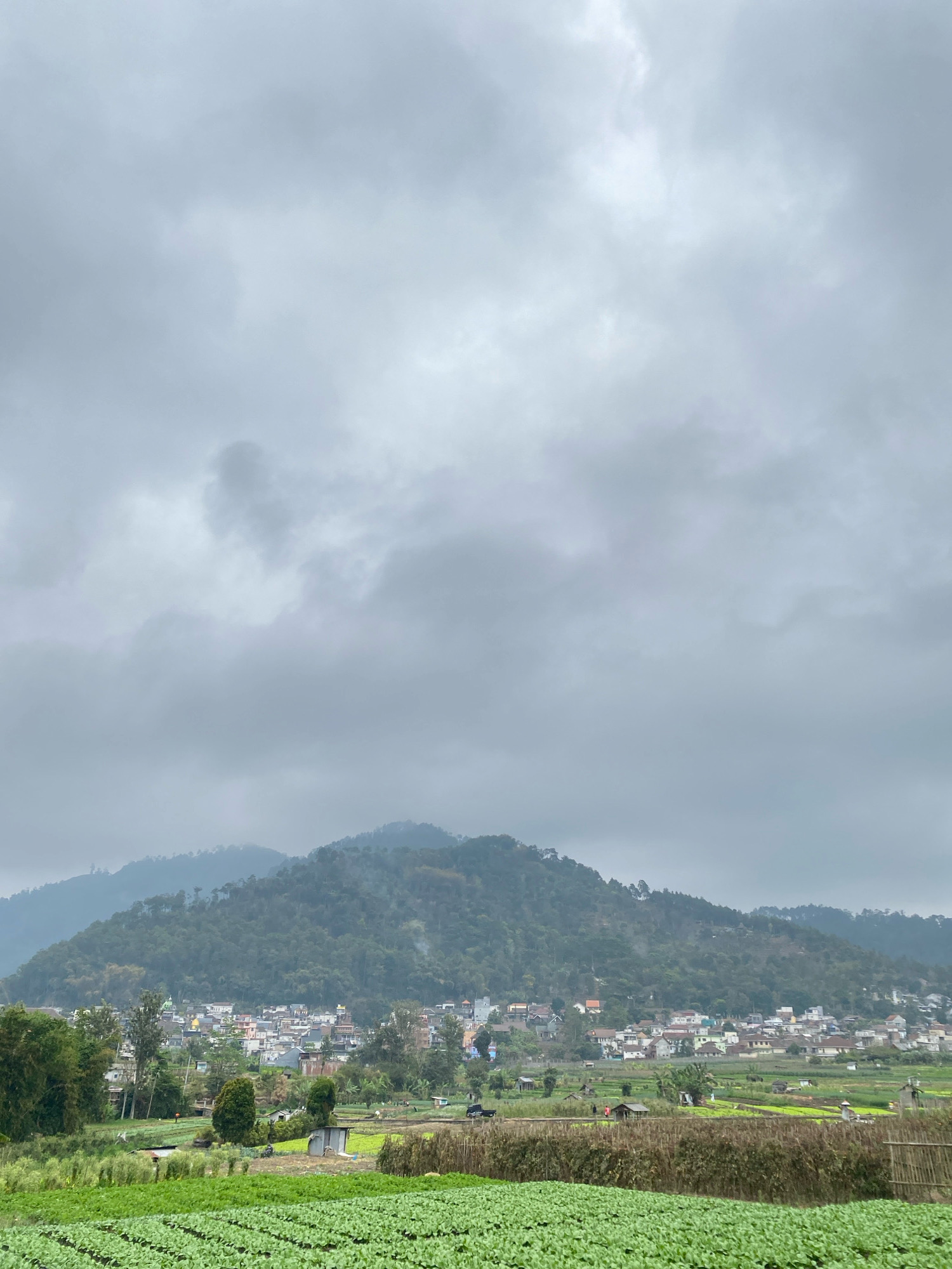 An overcast sky looms over a mountainous landscape, punctuated by a village nestled on the slopes of a prominent hill. The foreground is dominated by vibrant green fields, suggesting agricultural activity. Beyond the fields, a cluster of buildings forms the village, characterized by a mix of residential homes and possibly some commercial structures, their roofs a patchwork of various colors. Trees are scattered throughout the scene, some dotting the hillsides and others interspersed within the village and surrounding fields. The overall impression is a rural settlement at the base of a verdant, possibly forested, mountain.