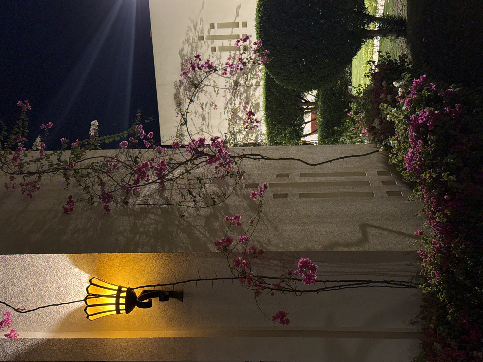 The image depicts an outdoor scene at night, likely in Sharm El Sheikh, Egypt, featuring a decorative wall lamp with a yellow, multi-paneled glass shade. The lamp is mounted on a textured, light-colored column adorned with dark, creeping vines and clusters of small pink and white flowers, characteristic of bougainvillea. The lamp casts a warm, amber glow onto the column, creating shadows.
Beyond the column, a pale wall is visible with embossed vertical rectangular patterns. To the right, a well-manicured evergreen hedge forms a dark, rounded barrier. In the background, a large, similarly colored wall displays a graphic resembling three vertical bars. Further back, a dimly lit grassy area and trees suggest a garden or outdoor recreational space. The night sky is dark blue, with faint beams of light suggesting artificial illumination from an unseen source. No people or animals are present. The overall impression is one of an illuminated, decorative outdoor space at dusk or night.