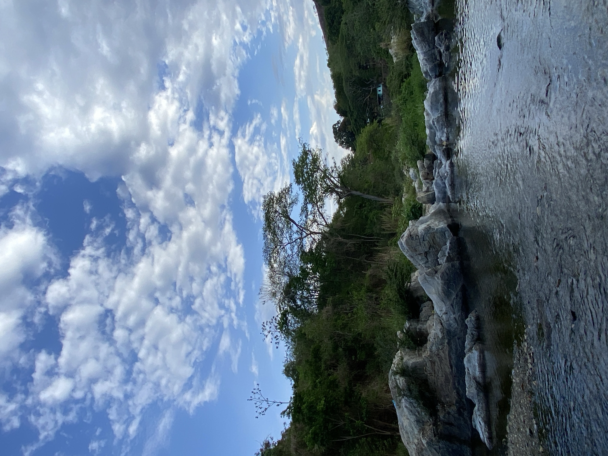 The image displays a serene natural landscape, with a river flowing alongside a verdant hillside under a clear, cloudy sky. On the right side of the frame, a body of water, likely a river, exhibits gentle ripples reflecting the daylight. Its bank, bordering the water on the left, is formed by numerous grey rocks and boulders of various sizes. Beyond this rocky edge, a dense, lush hillside rises, covered with abundant green trees and vegetation. In the middle ground, nestled within the foliage, a small, light-colored building with a dark roof is faintly visible, hinting at human presence. The upper portion of the image is dominated by a bright blue sky, scattered with fluffy white cumulus clouds, indicating a pleasant day, likely late morning or early afternoon. The scene evokes a sense of peace and natural beauty. No people or visible text are present in the image. This tranquil setting is located in El Jabillo, Venezuela.