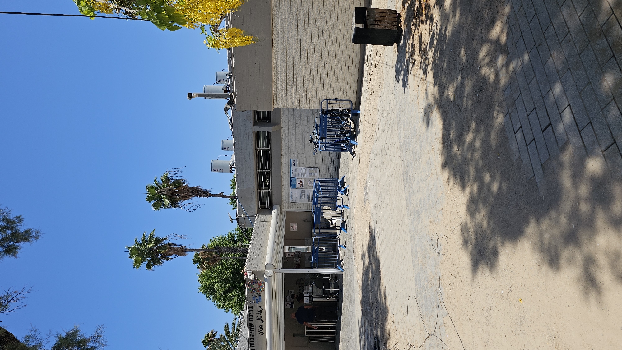 The image shows an outdoor scene in the city of Holon, Israel, on a sunny day. In the foreground, there is a paved area with a sandy patch where tree shadows are cast. A black trash receptacle is visible on the right. Further back, a building with a white brick facade and a gray upper section is present. Blue metal barriers are set up on the paved area in front of the building, with a bicycle rack holding two bicycles near the right side of the barriers. To the left, an entrance to a building is visible with an awning. Two individuals are standing near this entrance, one appearing to be an employee behind a counter and another person in front of it. Palm trees are visible in the background against a clear blue sky, and some flowering yellow vines hang from a tree branch on the far right. Signs are posted on the building, including what appears to be a Hebrew inscription above the entrance. The overall impression is of an entrance area to a public facility, possibly a park or a swimming pool, given the presence of palm trees and what looks like a water tank on the roof of the building.