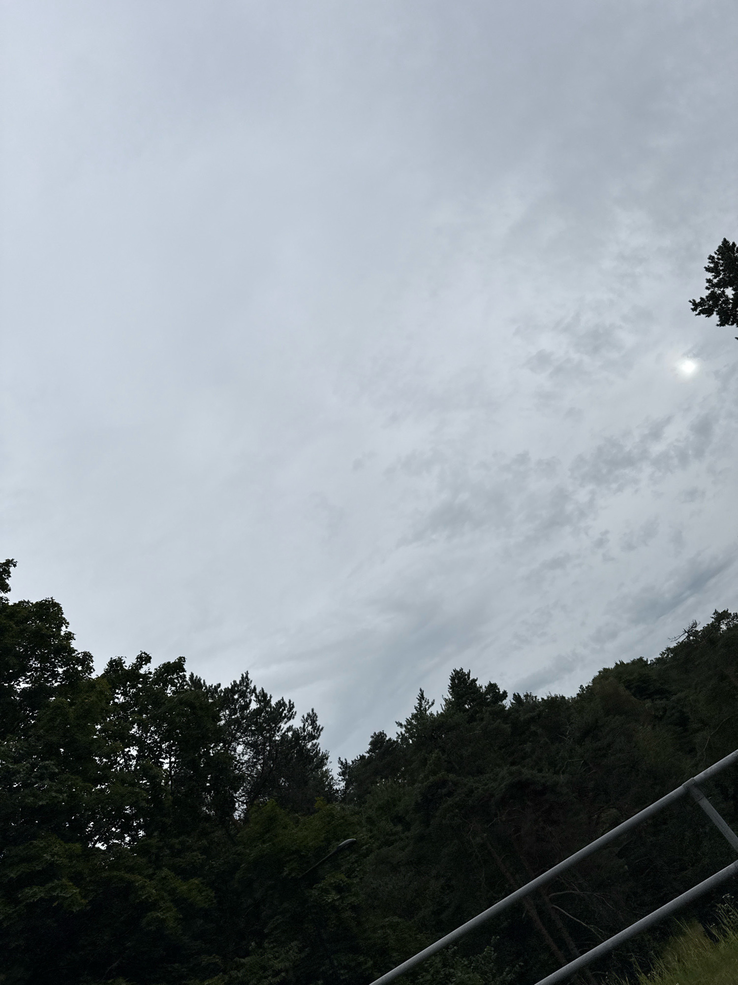 The image captures a view of a heavily wooded hillside under an overcast sky. The trees are dense and dark green, with a few taller, darker evergreens interspersed among them. The sky is filled with various shades of grey clouds, with a small, hazy sun peeking through in the upper right portion of the frame. In the foreground, a metal railing runs diagonally from the bottom right corner upwards towards the left. The railing appears to be part of a walkway or observation deck. There are no people visible in the image. The scene suggests a natural setting, possibly a park or a nature reserve on the outskirts of a city. Given the mention of Tallinn, Estonia, this could be a view from a location like the Nõmme-Mustamäe Landscape Reserve or a similar wooded area within or near the city. The overall impression is one of a somewhat gloomy but peaceful natural landscape.