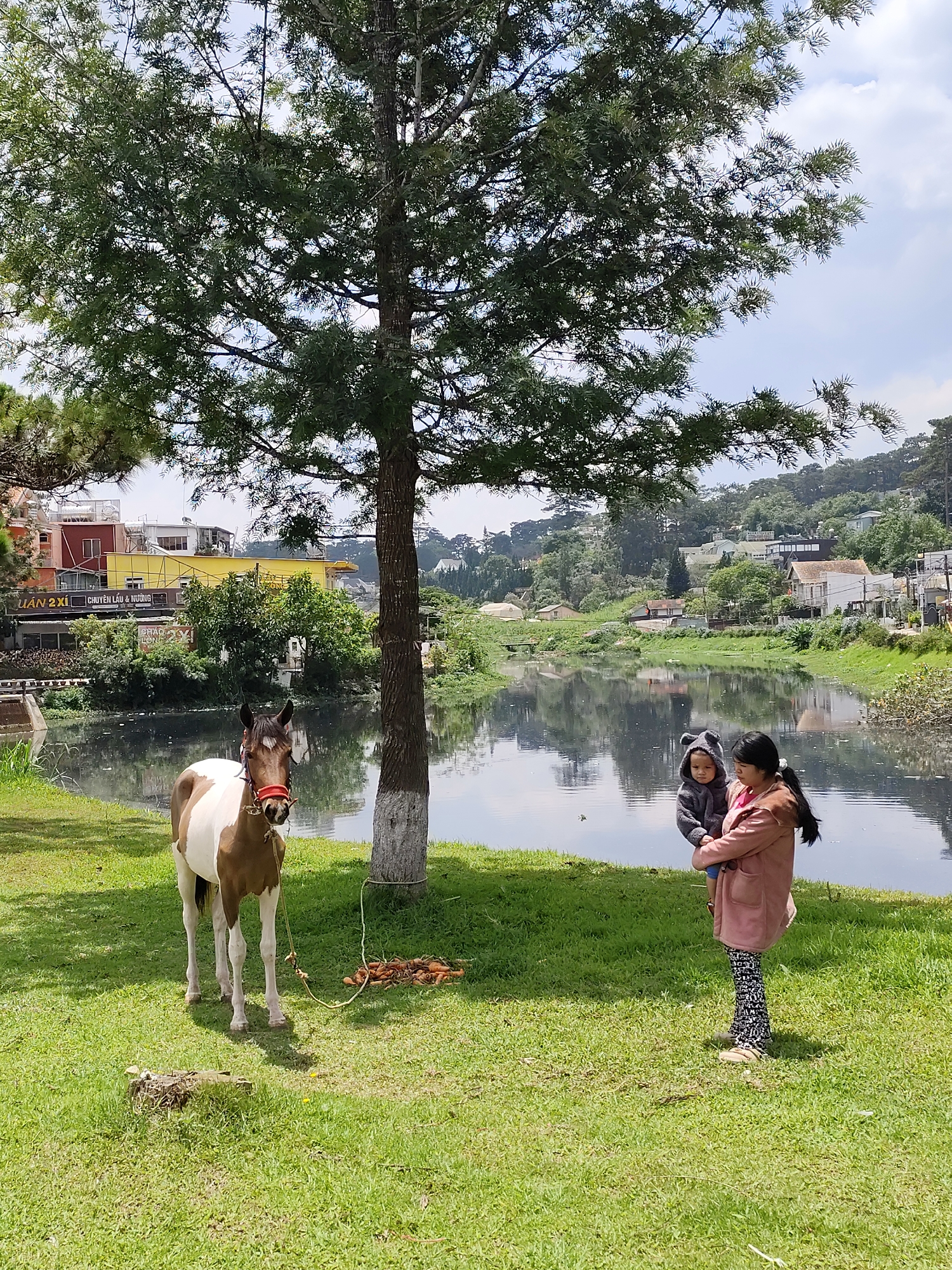 Captured in Da Lat, Vietnam, the image depicts a mother holding a toddler near a body of water, likely Xuan Huong Lake. Adjacent to them is a horse tethered to a tree, and carrots on the ground. The mother is dressed in a rose-colored coat and patterned leggings. The child wears a hooded outfit. Buildings can be seen in the background. The scene is set on a grassy area under a large tree with the calm water in the background.