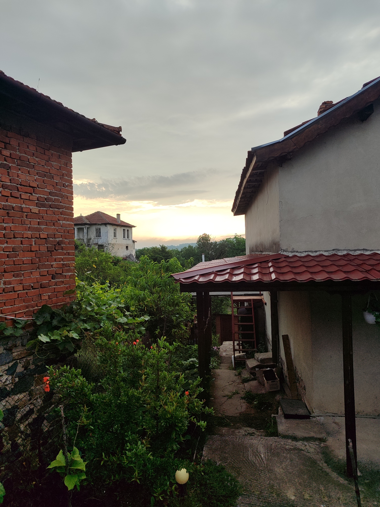 The image depicts a residential outdoor scene in Varshilo, Bulgaria, illuminated by the warm, low light of either sunrise or sunset, visible on the horizon beneath a cloudy, gray sky.
In the left foreground, a section of a red brick wall, showing signs of weathering, rises vertically, topped by a dark, overhanging roof eave. Adjacent to the wall, a wire mesh fence is partially visible, interwoven with abundant green foliage. A dense green bush, bearing several prominent red-orange flowers, dominates the immediate foreground. A small, light-colored spherical object rests on the ground amidst the greenery.
The right foreground features a portion of a building with a light gray stuccoed facade. A red, corrugated tile roof, serving as an awning or porch cover, extends from this building, supported by dark wooden posts. A white hanging planter is affixed to the rightmost post. An irregular concrete path or patio area extends from the immediate foreground, leading towards the background between the two structures. Beyond the porch, a red metal ladder is visible, positioned near rough stone steps and a plastic crate.
The midground is heavily populated by diverse green trees and bushes, creating a dense natural screen that largely conceals the ground level between the foreground and background elements.
In the background, a two-story house with a light-colored (likely white or cream) facade and a reddish-brown tiled roof is centrally positioned. The house displays multiple windows, some fitted with dark shutters, and includes a small balcony on its upper left side. The sky above is predominantly overcast, but a distinct band of golden light from the low sun is visible along the horizon, illuminating scattered clouds. Faint, dark outlines of distant hills or landforms are discernible below the horizon light. No human figures are present in the scene.