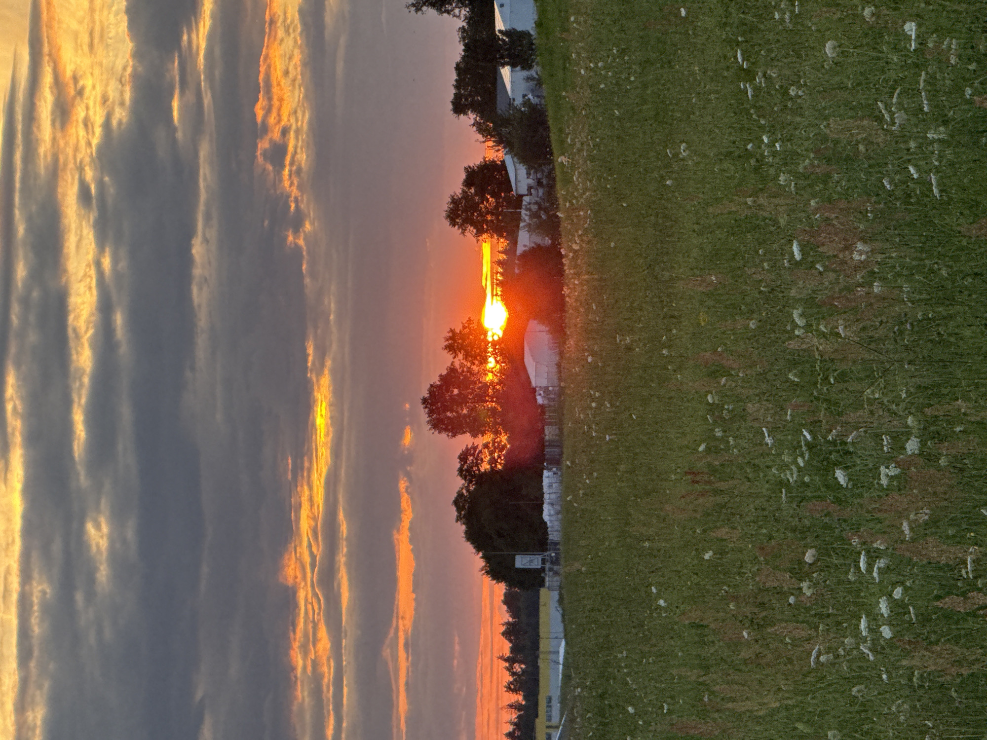 An outdoor, vertical, medium shot captures a sunset over a grassy field with scattered white wildflowers and tall green grass in the foreground. Behind the field, a line of trees and some structures are visible. The sun, a bright orange orb, is partially obscured by trees on the right side of the frame, casting a warm glow across the sky. The sky itself is a blend of orange, yellow, and gray, with layers of clouds stretching across the horizon. On the left side of the image, there is a long, white building with yellow trim. The structures in the middle ground appear to be modular or temporary, possibly tents or storage units, some covered in white material. The overall scene suggests a rural or semi-rural setting with industrial elements at the edge of the landscape. The image does not show any people or animals. The location is the outskirts of Galinė, Lithuania.