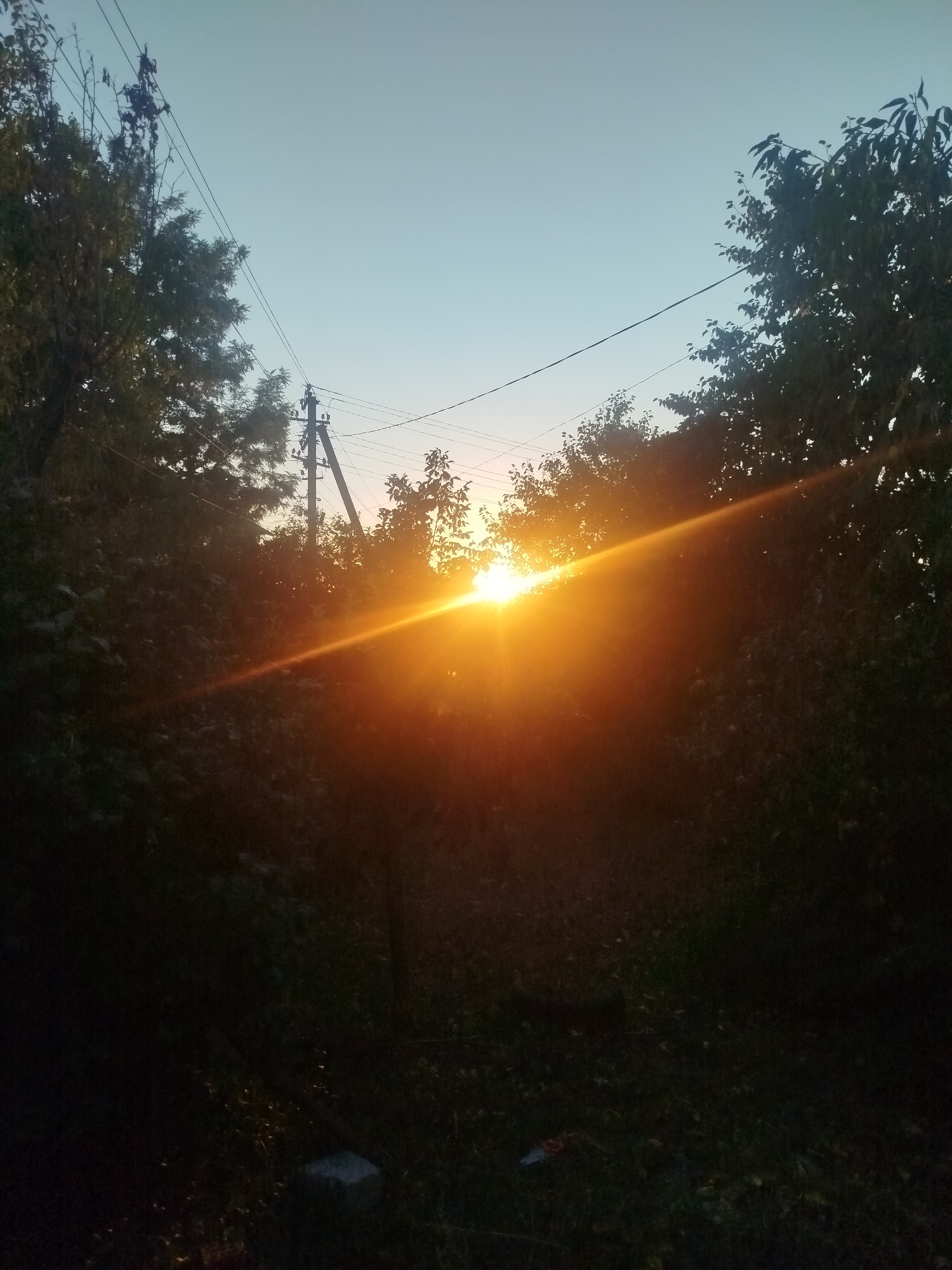 The image shows a sunset viewed through trees with a power line and pole in the background. The sun's rays are emanating from behind the foliage, creating a bright orange glow and lens flare across the frame. The sky is a gradient of light blue to pale orange near the horizon. The foreground is dominated by dark, dense foliage and a grassy area with some scattered debris. The scene appears to be set in a natural or semi-rural environment within the city of Zastavna, Ukraine.