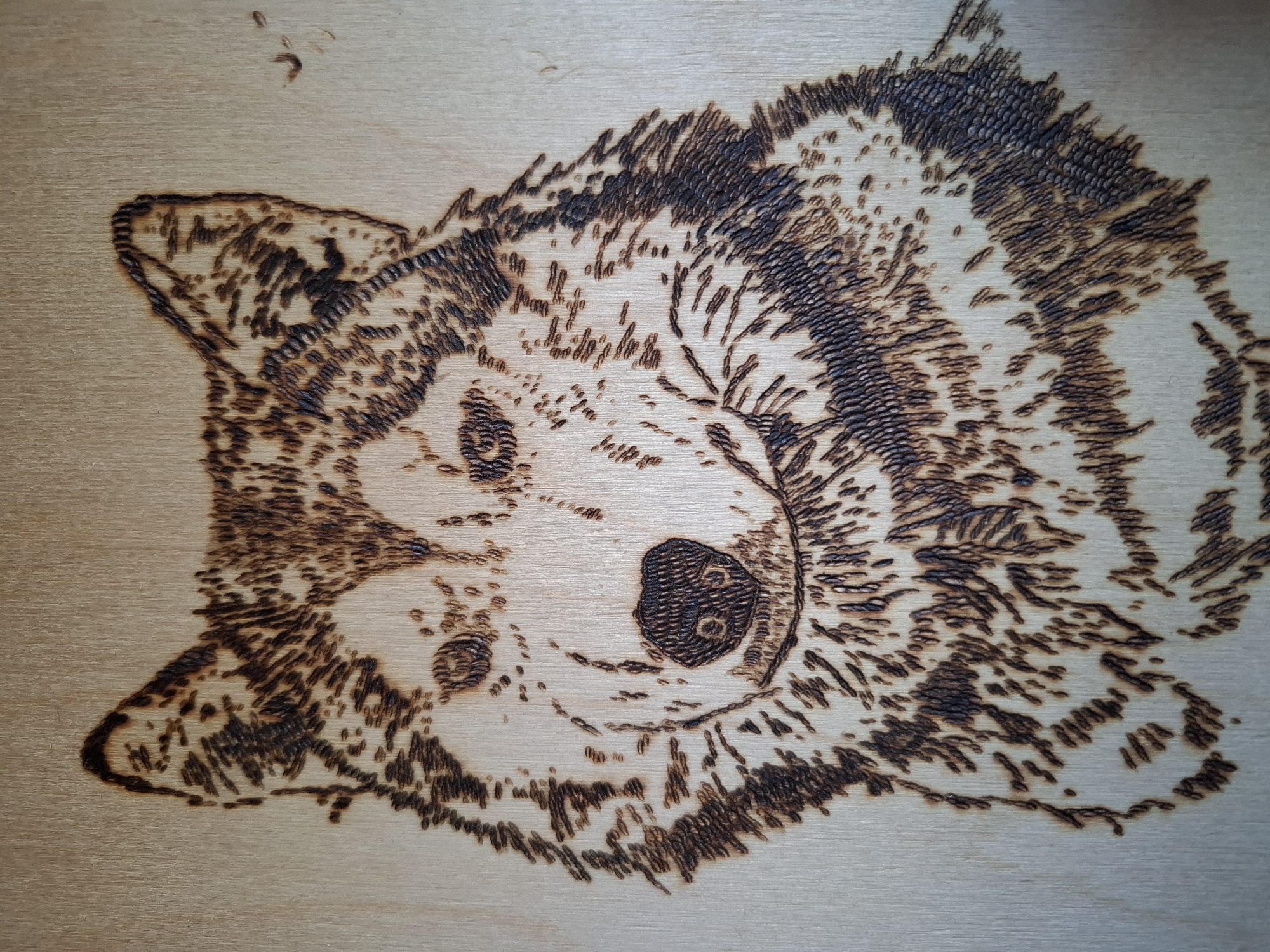 The image shows a wood burning of a dog's face on a light-colored wooden surface. The details of the fur, eyes, nose, and mouth are created with varying degrees of darkness and density of burn marks. The background is plain and the wood grain is visible. There is no evidence to place this image in the city of Амзя, Russia.