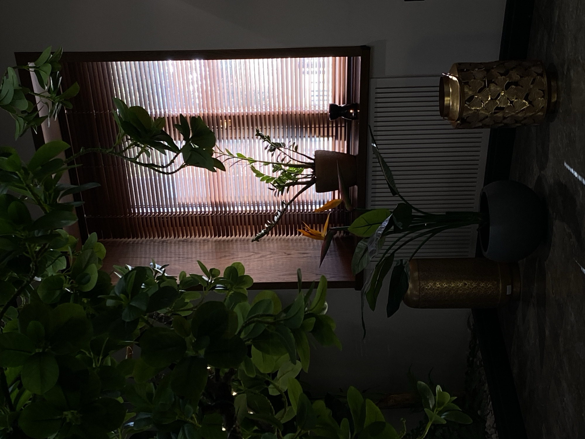 The image depicts an indoor scene with a prominent window on the left, fitted with horizontal wooden or bamboo blinds that allow strips of sunlight to filter through. The overall lighting creates a high-contrast environment, with the interior elements appearing largely in shadow against the bright window.
Numerous green plants are arranged throughout the space. In the immediate foreground, a dense collection of dark green, broad-leaved foliage fills the bottom and left side. Further back, closer to the window, a plant with smaller, lighter green leaves is visible. To the right of the window, an orange and blue "bird of paradise" (Strelitzia) flower stands out.
On a surface to the right of the window, two decorative containers are present. The upper one is a golden, cylindrical lantern or vase with an ornate, cut-out pattern resembling ginkgo leaves. Below it, a darker, possibly blue-grey, rounded pot or vase is visible. The wall to the right of these items has a textured finish, resembling stone or brick, while a white slatted panel, possibly a radiator cover, is seen beneath the golden lantern.
The scene is static, with no activity taking place. The strong backlighting from the window indicates it is daytime, possibly morning or late afternoon. No people are visible, and there is no discernible text in the image. The setting suggests a tranquil, plant-filled indoor space in Votkinsk, Russia.