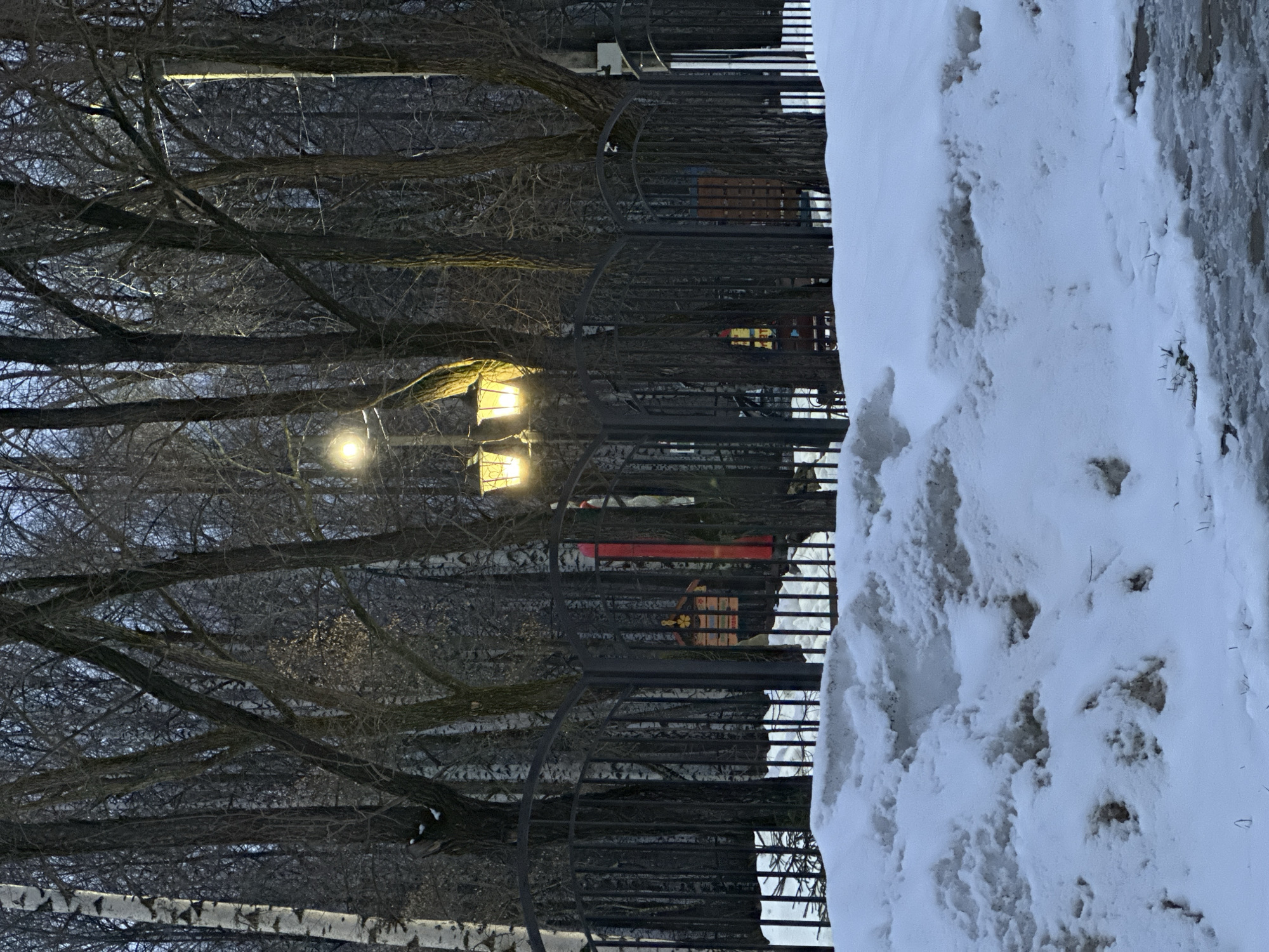 The image depicts a winter scene in what appears to be a park in the city of Chaikovsky, Russia. A wrought iron fence runs along the right side of the frame, partially obscured by a large snowdrift. Behind the fence, bare trees dominate the view, with streetlights illuminating the scene from behind the trees. The image shows a sidewalk covered with dirty snow. A building with a red exterior and books is visible through the fence.