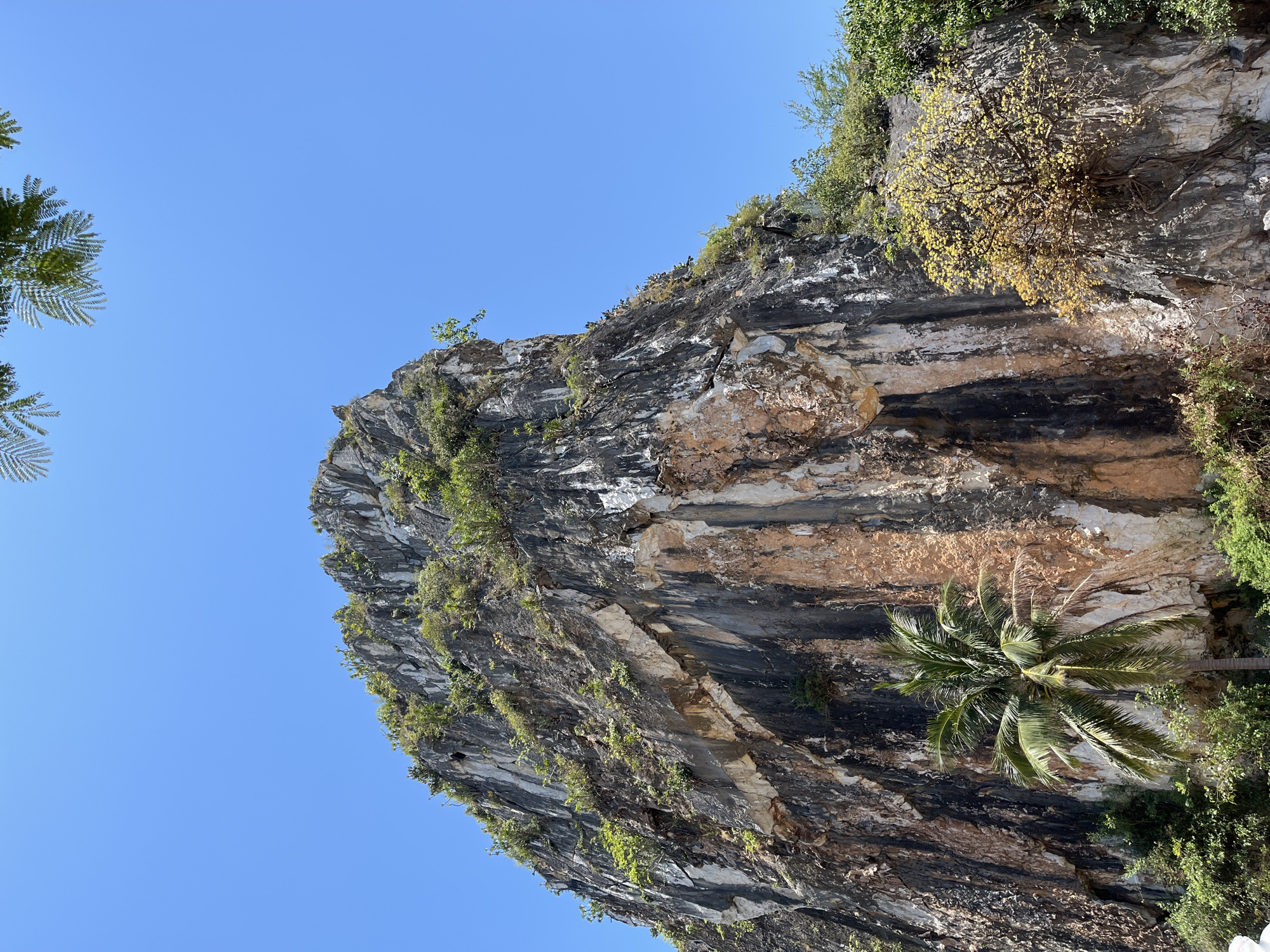 The image shows a view looking up at a large rock cliff face with layered, primarily gray and brown striations. Green vegetation grows on the cliff, including a palm tree. Clear blue sky is visible above the cliff. The location is likely in or near Đà Nẵng, Vietnam, given the typical topography and vegetation of the region. No people are visible.