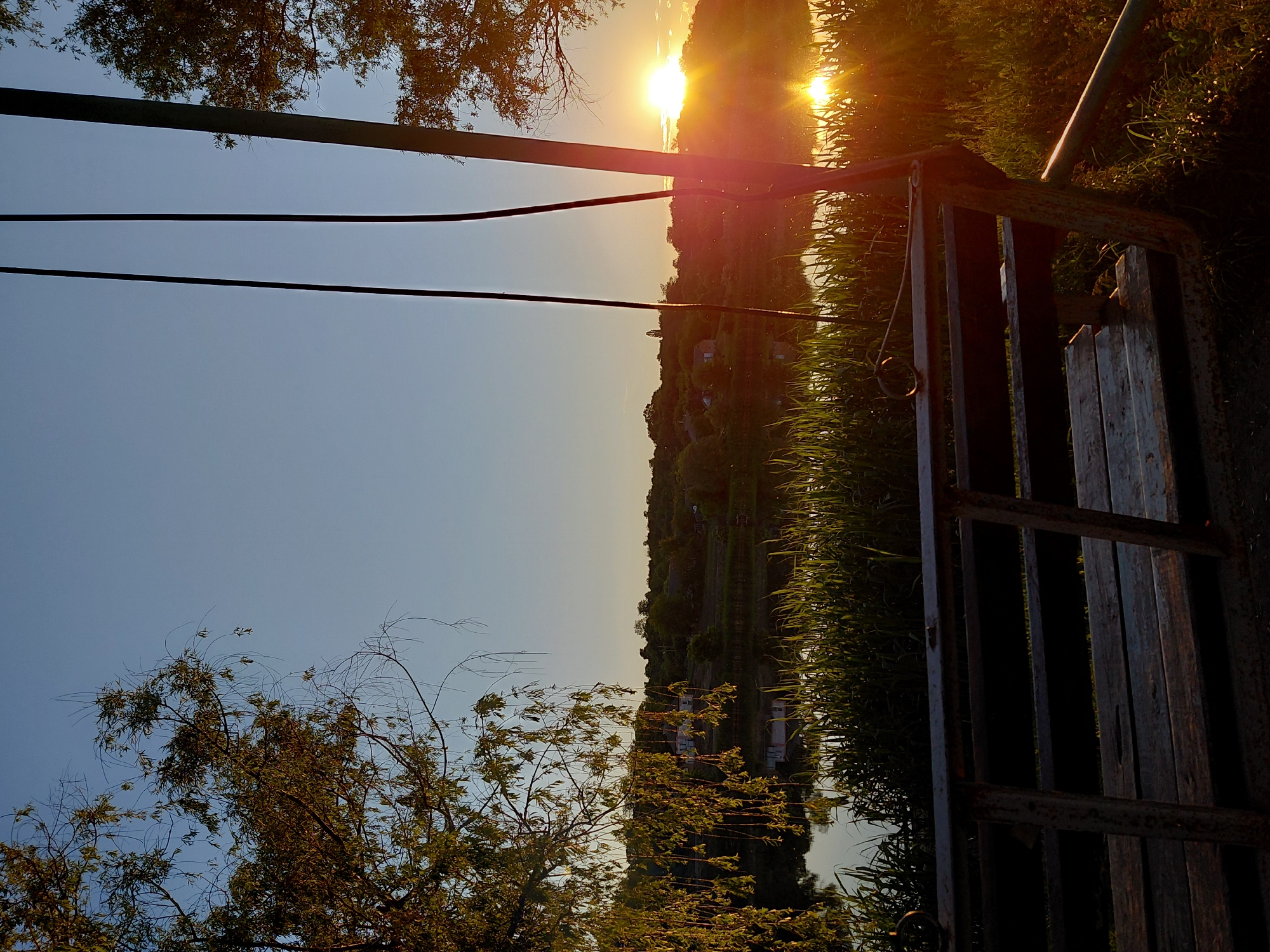 The image captures a serene outdoor scene during the golden hour, likely sunrise or sunset, characterized by the low position of the sun and its warm, intense light. The central feature is a body of water, possibly a river or lake, stretching horizontally across the middle of the frame. The bright sun is positioned on the right side, casting a strong, luminous reflection across the water, creating a vibrant orange and yellow glow.
On the far side of the water, a distant hillside is visible, covered with trees and subtle hints of small buildings or structures, silhouetted against the bright sky. The sky itself transitions from a brilliant orange and yellow near the sun to a soft, clear blue further to the left.
In the foreground, across the upper part of the sky and extending over the water, three dark, taut lines, likely power lines or cables, run horizontally. In the upper left quadrant, tree branches with green foliage partially obscure the sky. More vegetation, consisting of tall reeds or grass, densely lines the immediate bank of the water on the right, catching the golden light.
On the far right of the image, a rustic, possibly wooden and metal, gate structure stands, its vertical and horizontal slats silhouetted in shadow but still distinguishable. A ring is visible hanging from a rope attached to the gate, suggesting it might be used to secure it. No human activity or visible text is present, and the overall mood is peaceful and natural.