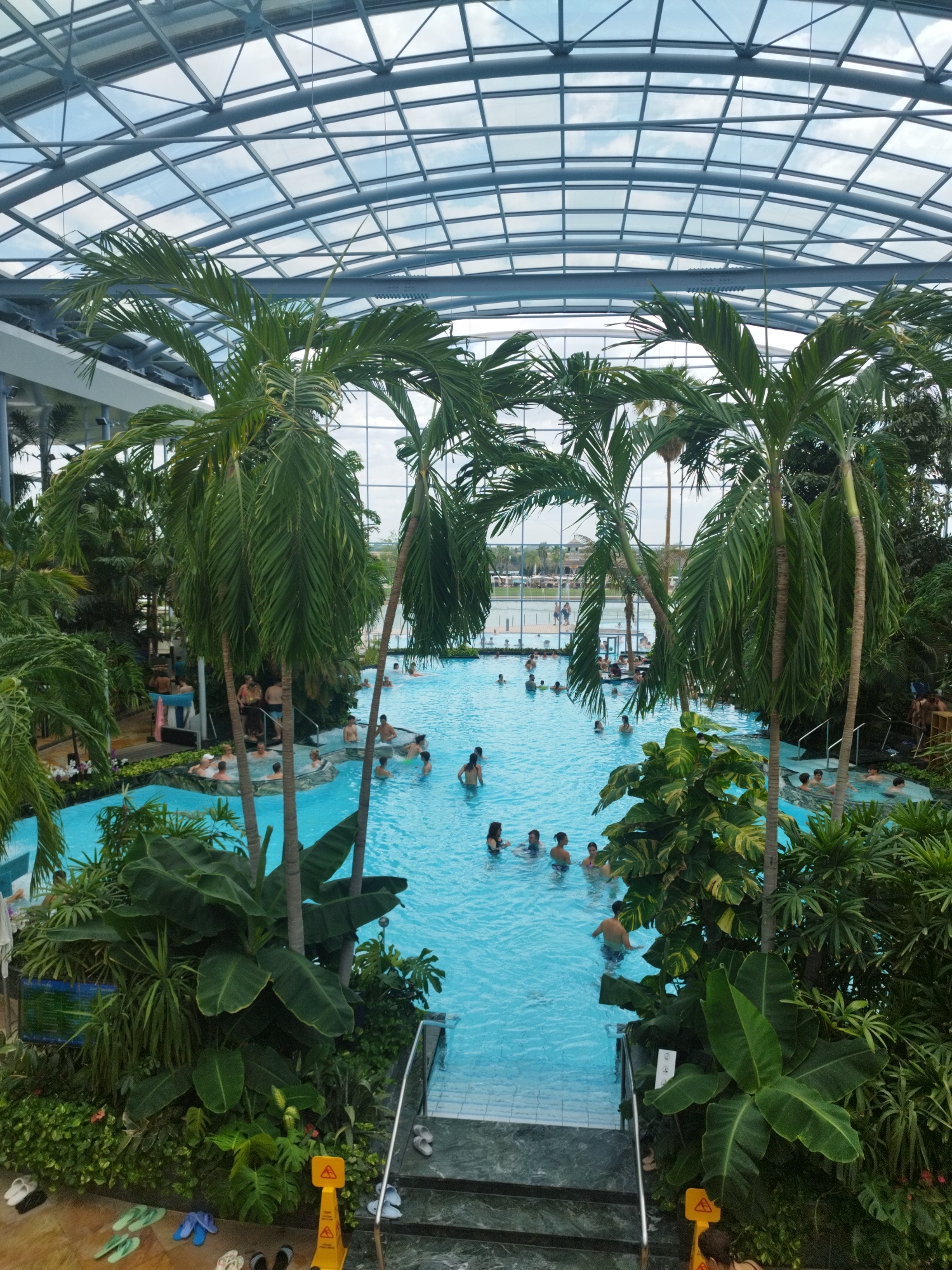 An indoor swimming pool complex is depicted, featuring a large, bright blue pool filled with people. The pool is surrounded by lush tropical vegetation, including several tall palm trees, and is covered by a transparent, arched roof structure. Various individuals are seen swimming, wading, and socializing in the pool. Some people are gathered in a smaller, shallower section or hot tub area. Stairs and railings provide access to and from the pool. The environment appears to be a resort or recreational facility, potentially located in Săftica, Romania, given the context. There are also safety signs visible, indicating a well-maintained public space.