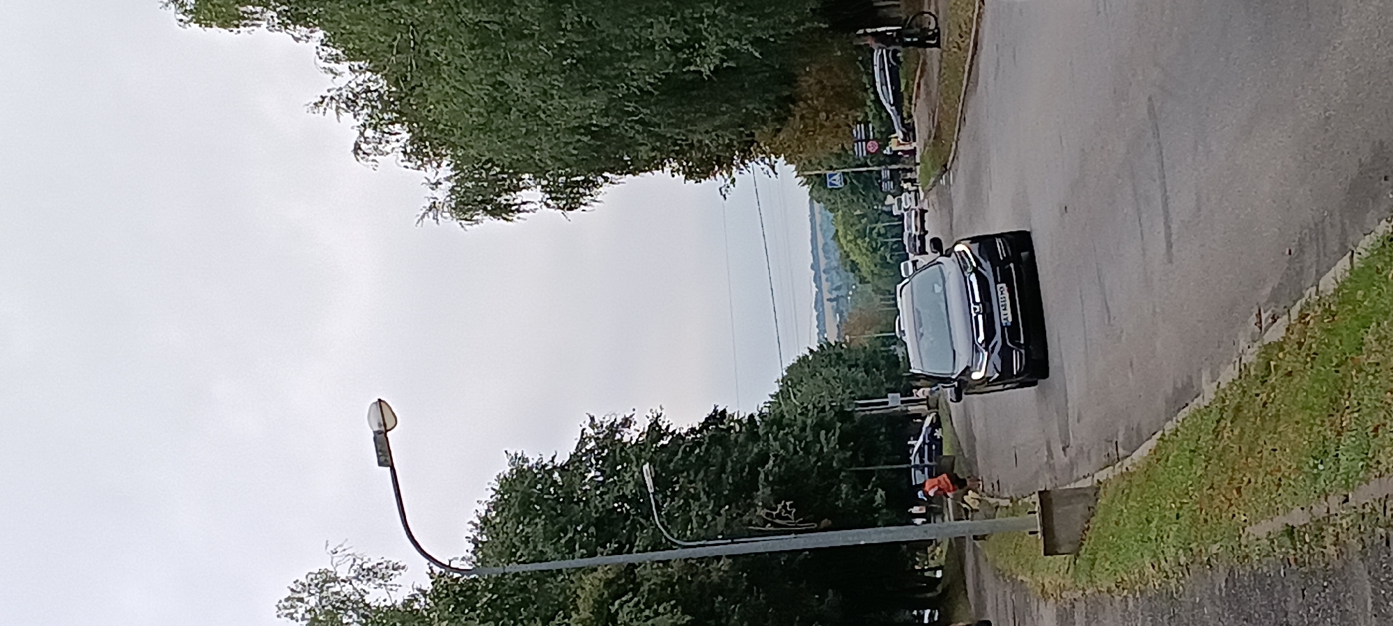 A black Honda CR-V drives down a paved road in Kamianka, Ukraine. The car is in the foreground, centered in the image. The road is lined with trees on both sides, and there is a sidewalk on the left side of the road. There are streetlights visible along the road. In the background, there are rolling hills and a cloudy sky. A pedestrian wearing an orange vest and dark pants is visible on the sidewalk to the left of the car, interacting with a dog. Several other vehicles are visible further down the road, and a person is standing by a bicycle on the right side of the road near a crosswalk.