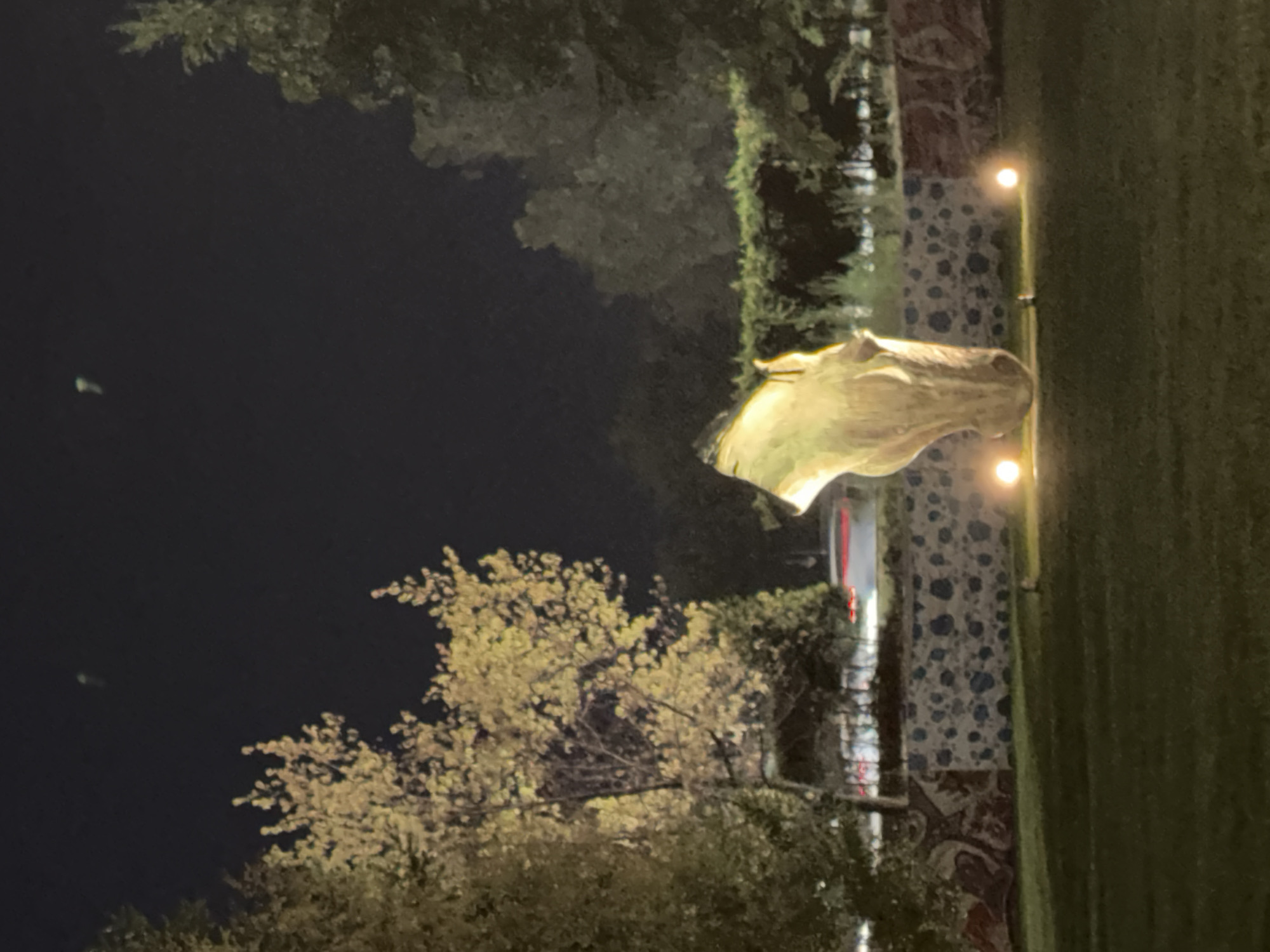 The image depicts an outdoor scene at night, likely in Almaty, Kazakhstan. In the foreground, a patch of well-maintained green grass is visible, with three small, circular lights illuminating the ground. A large, abstract sculpture, possibly made of wood or stone, is centrally located. The sculpture is illuminated from below by two of the circular lights, giving it a warm, glowing appearance. Its form is irregular, resembling a twisted, organic shape.
In the background, a low, decorative wall with a mosaic-like pattern of blue and red shapes is visible. Beyond the wall, a line of trees with yellowing foliage is present, illuminated by artificial light from the left side of the frame. Further in the background, more trees and dense shrubbery create a dark, silhouetted backdrop against the night sky. A road with visible streaks of red light, indicating moving vehicles, is situated behind the wall and trees. The sky is dark and appears clear, with three faint, bright spots visible in the upper portion, which could be distant lights or astronomical phenomena. No people are present in the image.