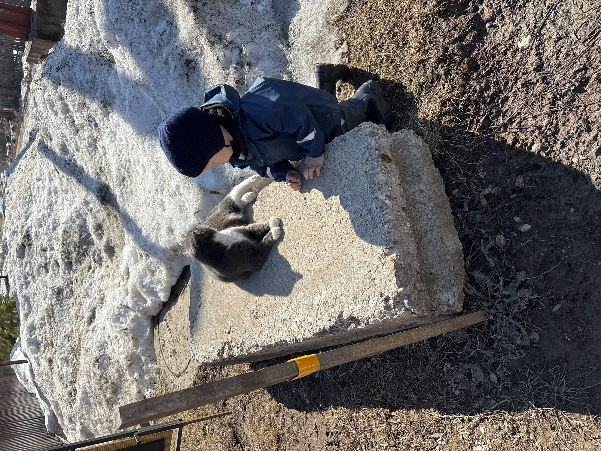 A child in a dark blue snowsuit and hat is crouched at the edge of a concrete block, next to a patch of melting snow, in an outdoor setting that appears to be in Ферма, Russia. A gray and white cat lies on the concrete block next to the child. The ground around the concrete block is a mixture of dirt, dry grass, and mud. A wooden beam with a yellow section rests against the side of the concrete block. The time of day appears to be daylight, with the sun casting shadows in the scene.