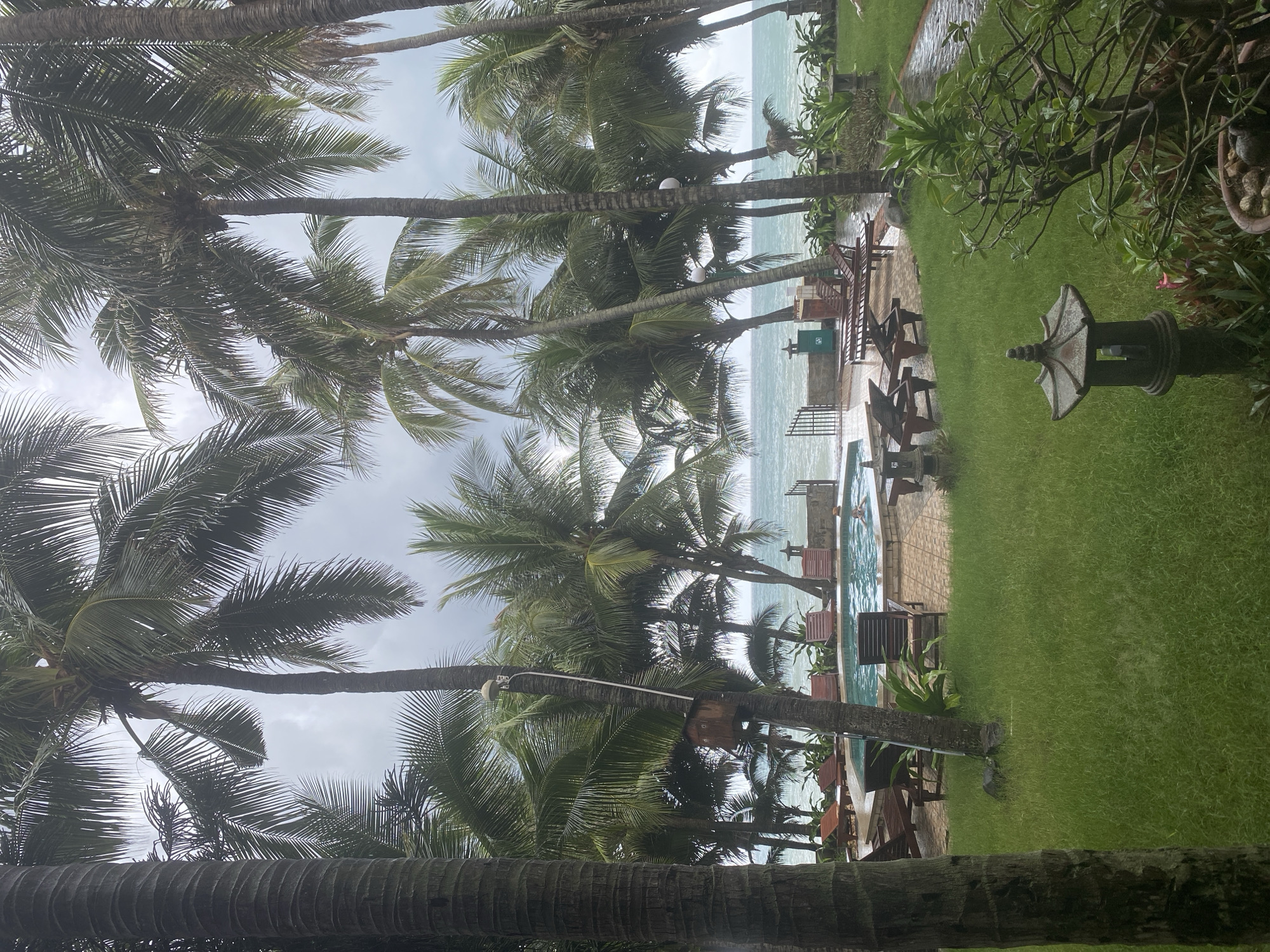 This landscape-oriented image captures a tranquil tropical resort scene, likely in Phu Thuy Ward, Vietnam, viewed from a slightly elevated perspective. The foreground features a vibrant green grass lawn on the right side, where a decorative, dark stone lantern with a pagoda-like roof stands. Numerous tall palm trees with textured trunks and lush green fronds are prominent throughout the frame, especially on the left and extending across the top.
In the midground, a light-blue swimming pool is visible, surrounded by a paved patio made of light-colored bricks. Several dark wooden lounge chairs are arranged on the patio around the pool, inviting relaxation. Near the pool, a small, dark green bin with a white, triangular symbol (possibly a recycling or trash icon) is present. One person is partially submerged in the pool, indicating swimming or wading.
Beyond the pool and patio, the turquoise expanse of the ocean stretches towards the horizon. Gentle waves are visible near the shore. The sky above is overcast and light gray, suggesting a cloudy day. The overall atmosphere is serene and peaceful, characteristic of a tropical vacation destination. No legible text is visible in the image.