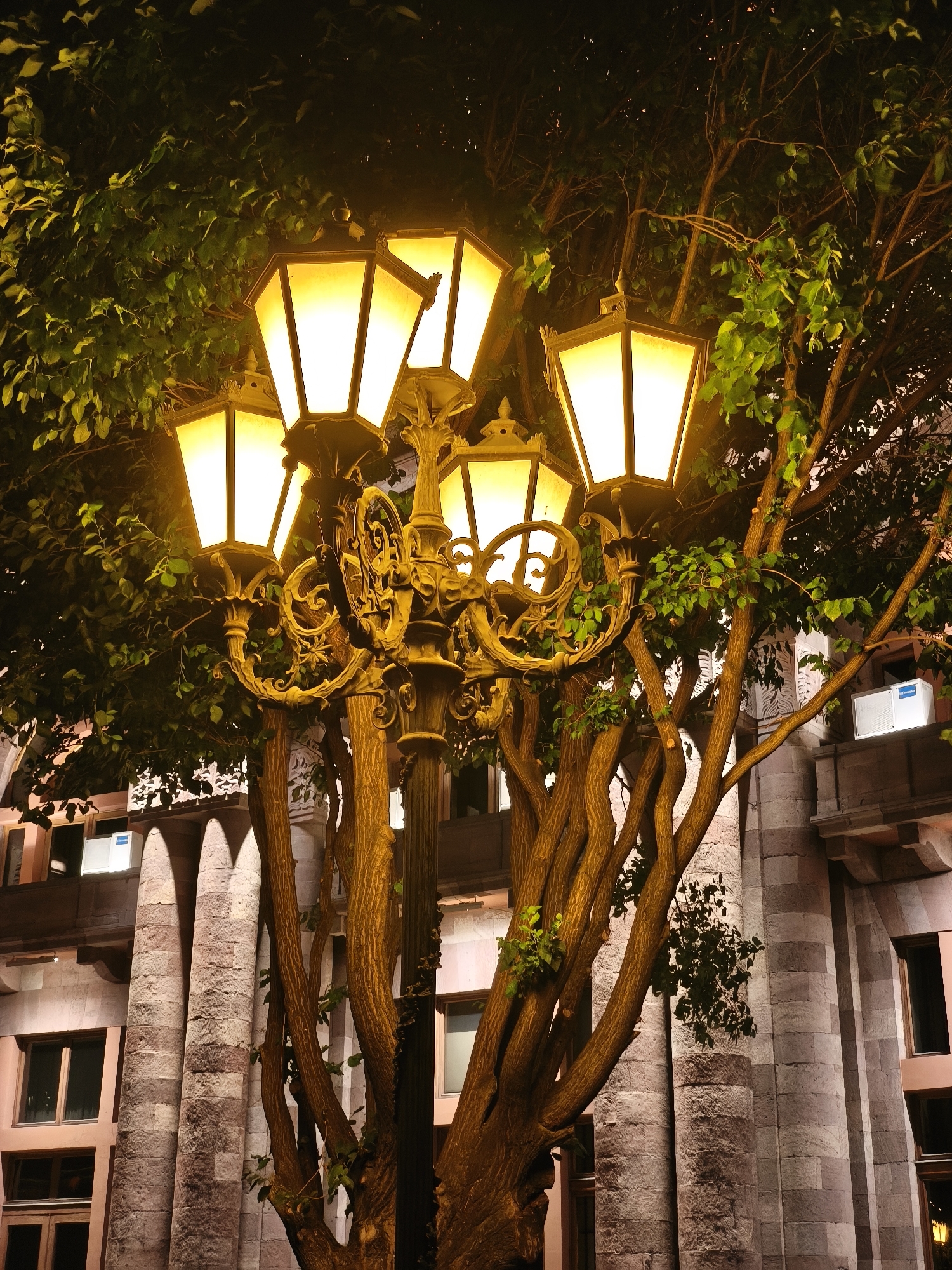 An ornate, vintage lamppost with multiple lamps is the central subject, illuminated at night. The lamppost has a decorative, wrought-iron style, with several glowing, hexagonal lamps emitting a warm, yellow light. It is situated amidst the branches of a leafy tree, whose foliage partially obscures the lamps and the background.
Behind the tree and lamppost, a building with classical architectural features is visible. The building has large, stone columns and windows, suggesting an urban or possibly historical setting. The overall impression is one of evening ambiance, with the artificial light from the lamppost contrasting with the darkness of the night sky. No people are visible in the scene. The time of day is clearly nighttime due to the artificial illumination and the dark background. There are no obvious weather cues. There is some visible text on a white rectangular unit mounted on the building, likely an air conditioning unit, which reads "Electrolux". Another similar unit further left has faint text that is illegible.