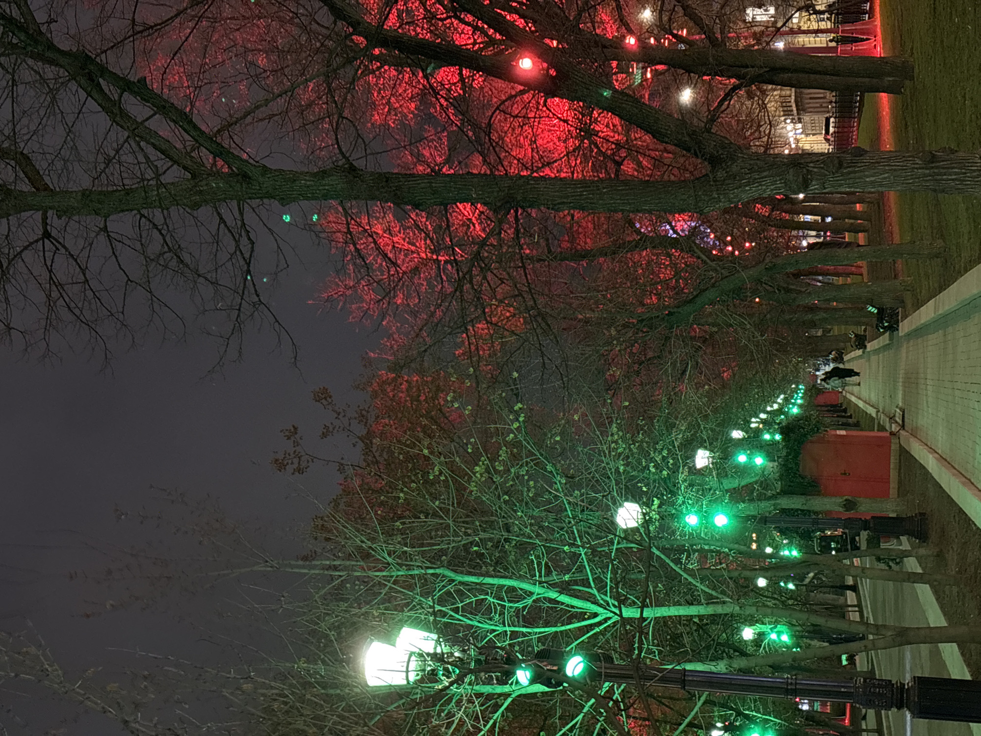 This nighttime image depicts a festive, tree-lined pathway or alley, likely located in an urban park or boulevard in Moscow, Russia. The scene is dominated by rows of deciduous trees with bare branches, suggesting either winter or early spring.
The pathway extends into the distance, lined on both sides by trees adorned with decorative lights. On the left side of the path, the trees are illuminated with bright green and some white lights, casting a vibrant glow on the intricate network of branches. Several street lamps on this side also emit a clear white light. On the right side, the trees are strung with red lights, which bathe the branches and the background in a warm, crimson glow.
A paved walkway, possibly brick or cobblestone, is visible on the right, receding into the distance. A few indistinct figures of people can be seen walking or standing along this path. Green grass or ground cover borders the pathway. In the far distance, behind the red-lit trees, illuminated buildings and a fence are discernible, confirming an urban setting. Several red, box-like structures are also situated alongside the path on the right.
The dark night sky serves as a backdrop, enhancing the brightness of the colorful lights. The distinct red and green lighting scheme creates a festive and enchanting atmosphere, suggesting the image was captured during a holiday season or a special evening event. There is no visible text in the image.