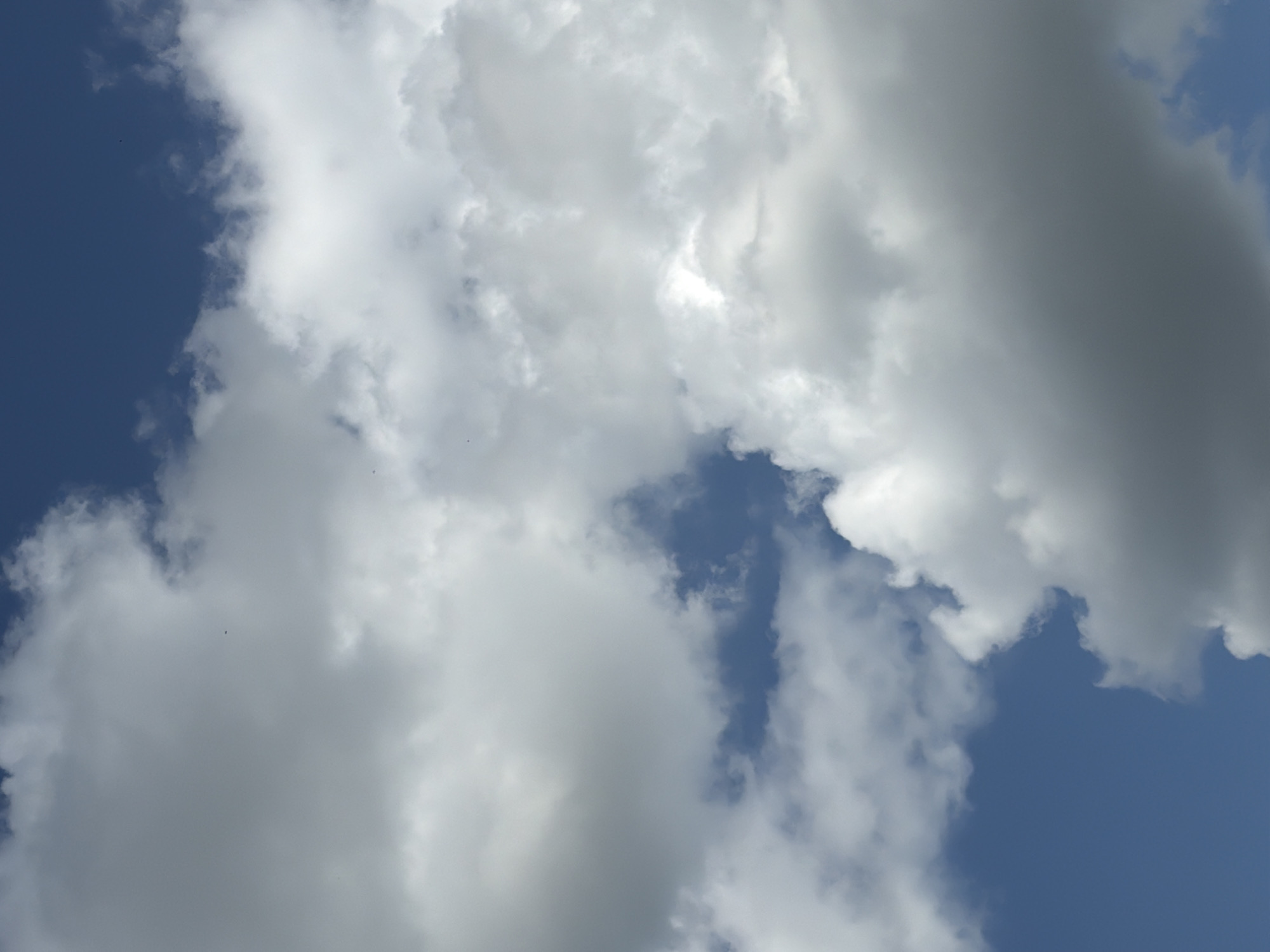The media file displays a close-up, low-angle shot of a blue sky filled with white and gray clouds. The clouds vary in density, with some appearing wispy and translucent, while others are thick and opaque, casting shadows that create a sense of depth. Sunlight breaks through in places, illuminating parts of the cloud cover. Several small, dark specks are visible against the sky, which may be birds or insects. The overall scene evokes a sense of a bright, possibly partly cloudy day. There is no visible text in the image. Given the location context of Bila Tserkva, Ukraine, this image likely depicts a scene from that region.