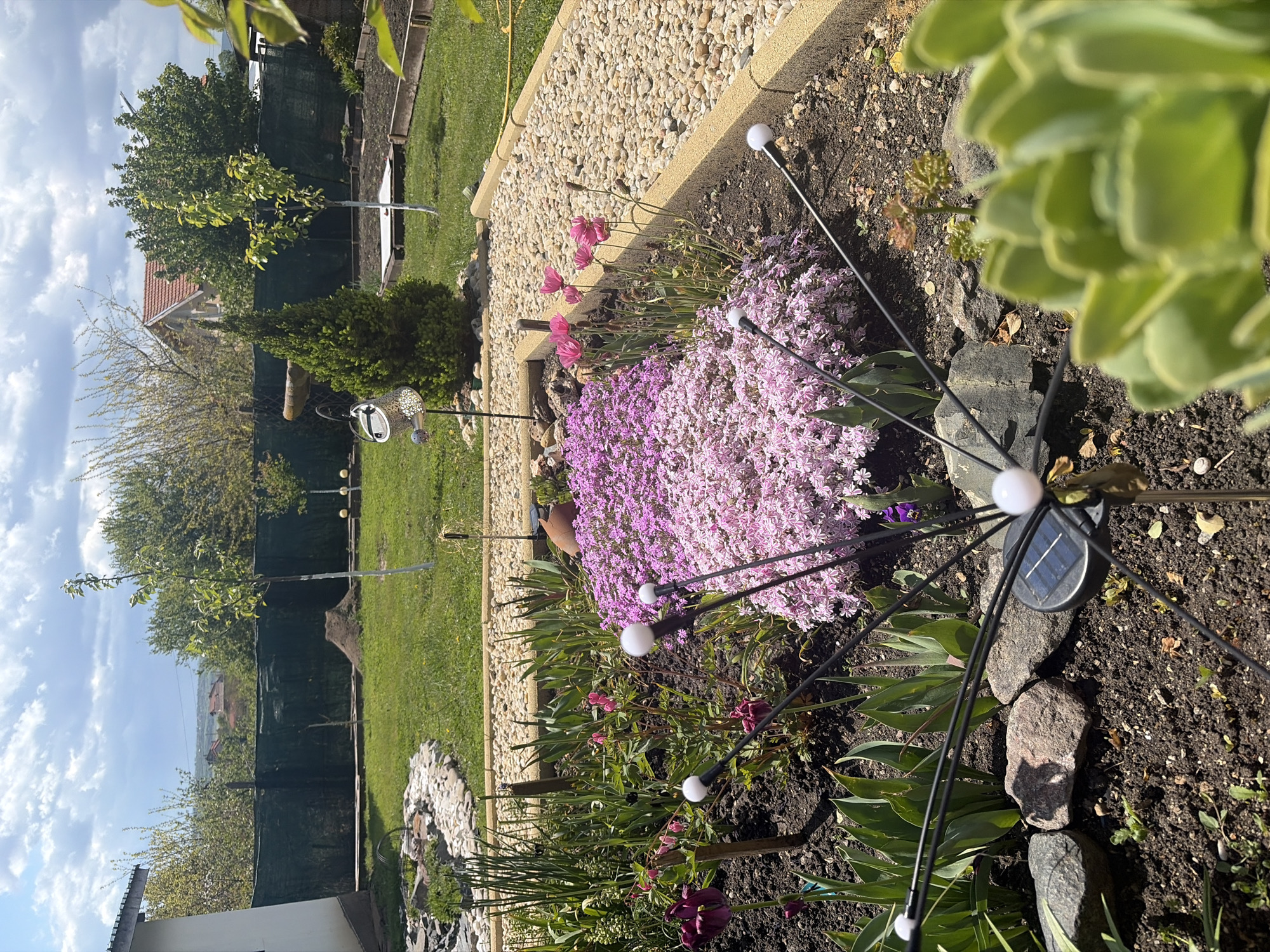 The image captures a garden scene, likely in a residential area. In the foreground, a flowerbed is visible, showcasing a mix of plant life, including ground cover flowers in shades of pink and purple, along with other greenery. Black metal garden decorations with white spherical lights are interspersed among the plants. The ground is composed of dark soil and rocks.
Beyond the flowerbed, a path of light-colored gravel is present. In the background, a green lawn stretches out, bordered by a fence and trees. A house with a red-tiled roof can be seen in the distance. The sky is partly cloudy, suggesting a partly sunny day. The overall impression is one of a well-maintained garden. The location is not definitively confirmed as Konstantinovo, Bulgaria, as there are no specific identifiers in the image.