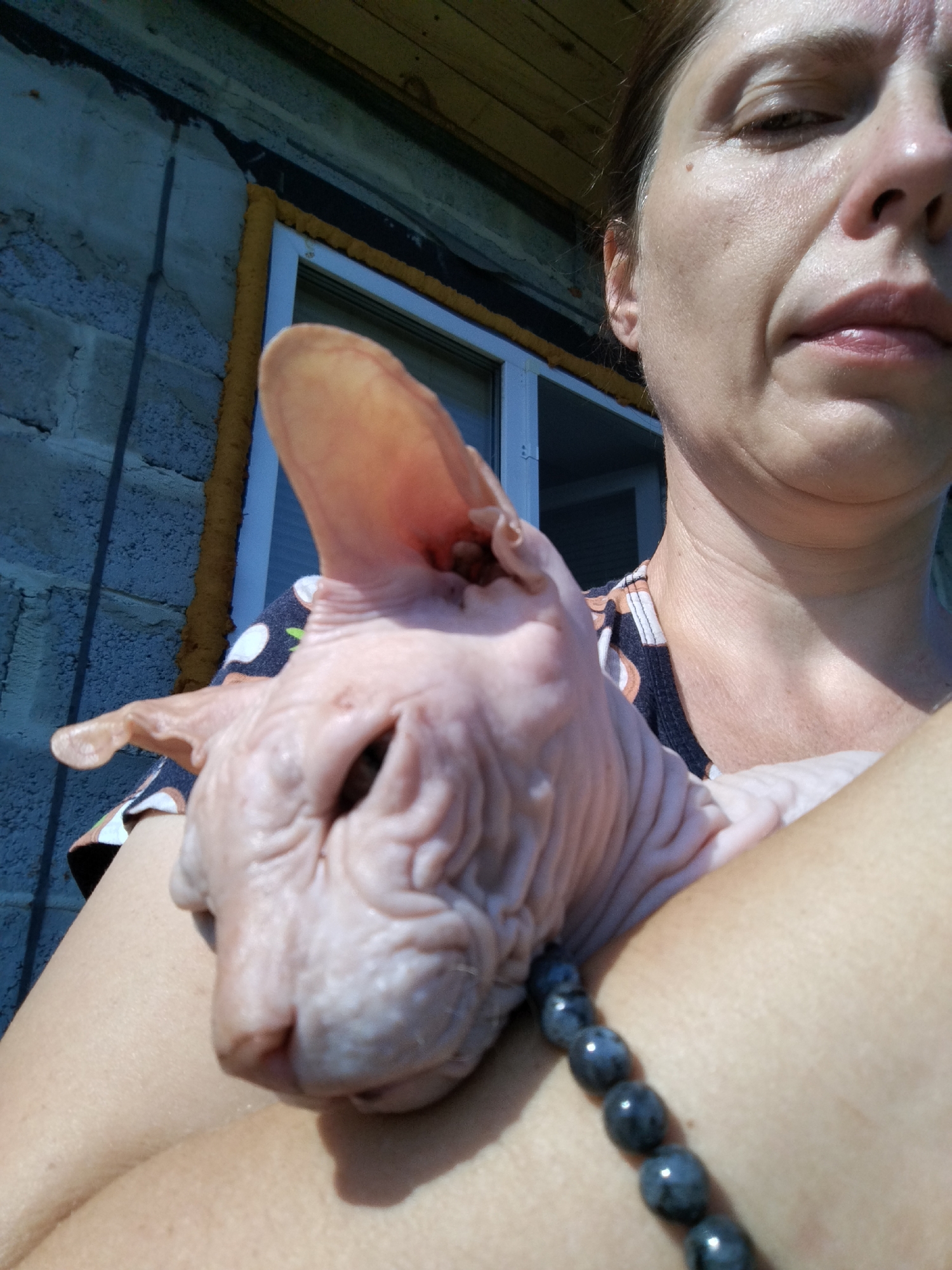 In Zavodoukovsk, Russia, a close-up, sunlit, first-person perspective shot captures a woman holding a hairless Sphynx cat. The woman's face is partially visible on the right, with her gaze directed slightly away from the camera. She is wearing a dark shirt with an orange and white pattern. Around her wrist, a beaded bracelet is visible. The cat, pink-skinned and wrinkled, is nestled in her arms, its large ears prominent and its head turned towards the left. In the background, a weathered brick building with a wooden overhang is visible, along with a window frame and yellow insulation foam. The lighting suggests an outdoor setting during the day.