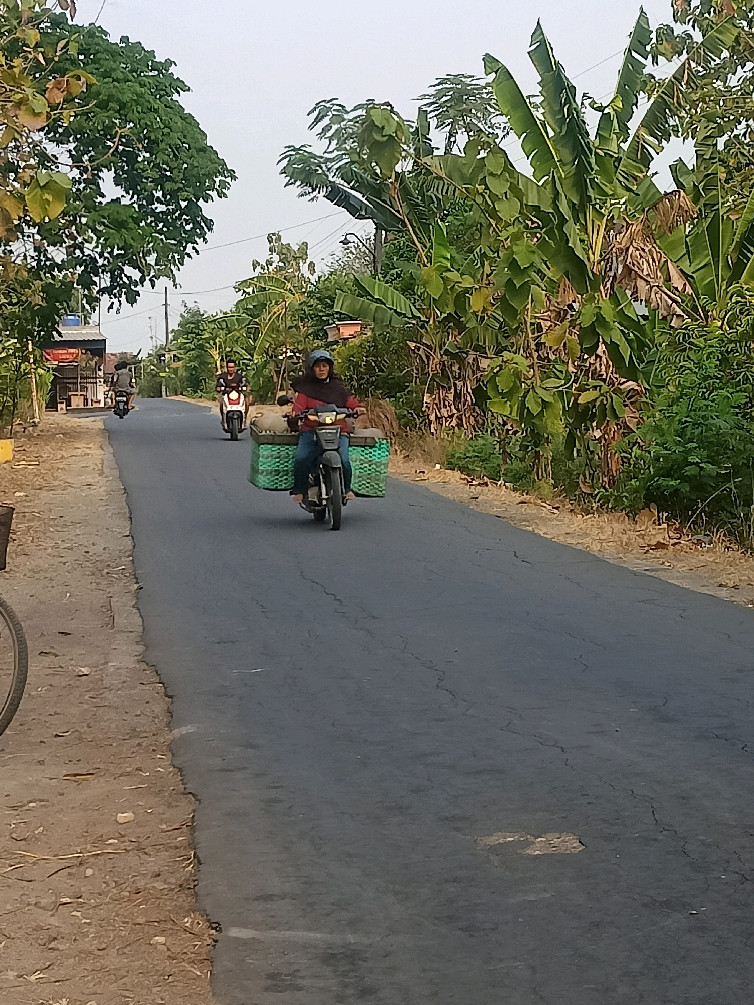 In the city of Sambiduwur, Indonesia, a woman rides a motorcycle down a paved road. She is wearing a red shirt and a dark headscarf. Attached to the back of her motorcycle are two large green baskets, filled with what appears to be hay or straw. To her left, there is a dirt shoulder and sparse vegetation. To her right, a dense array of trees and banana plants line the road. In the background, two other motorcycles are visible, one with a rider wearing a black shirt and another with a rider wearing a grey shirt. The sky is overcast.