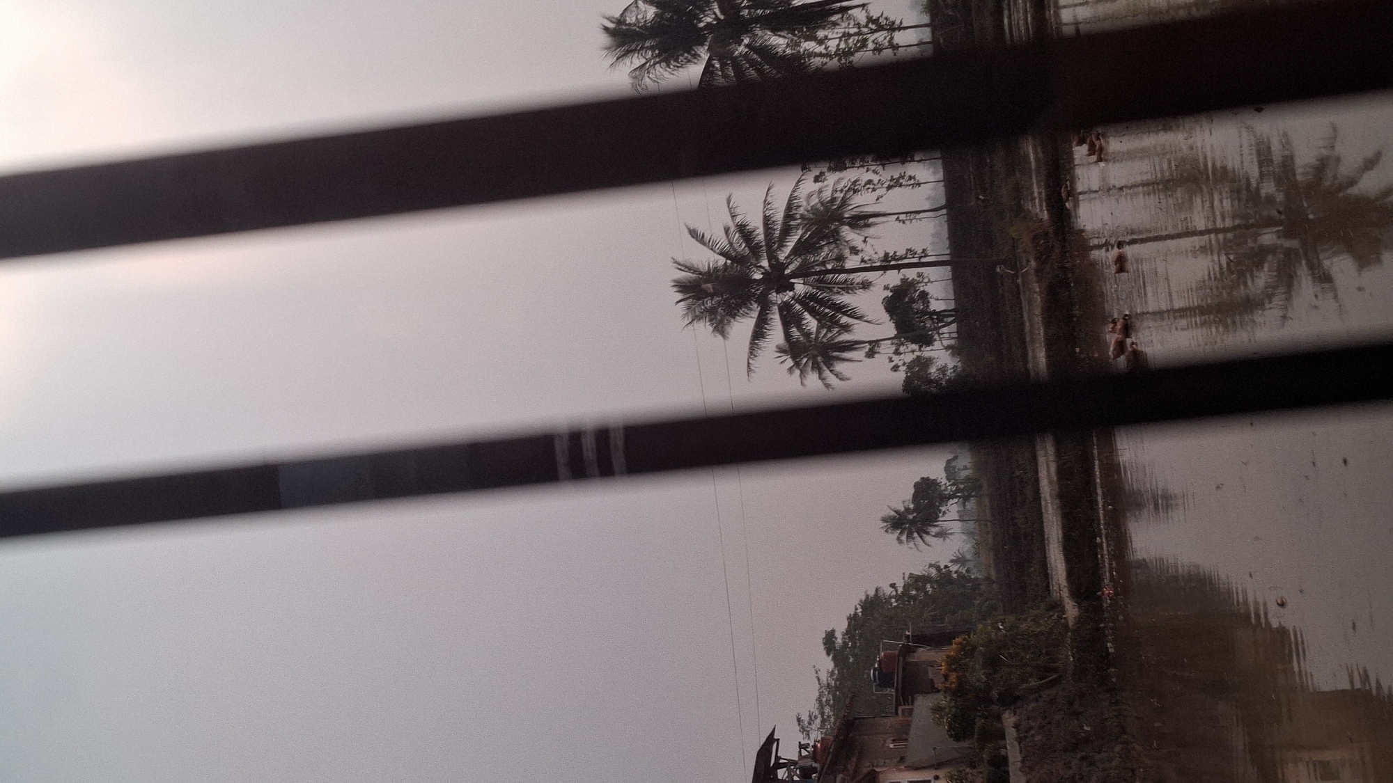 The image depicts a tranquil scene in Sukasari, Indonesia, likely at dusk or dawn due to the soft, diffused light. In the foreground, several dark, vertical bars suggest the image was taken through a fence or window. Beyond these bars, a body of water, possibly a rice paddy, reflects the muted sky and surrounding trees. Several ducks are visible swimming or wading in the water.
On the left side of the frame, a simple building with a tiled roof is partially visible, accompanied by a few trees. The middle ground is dominated by a cluster of coconut palm trees, their fronds gently swaying. Behind them, more trees and a hazy, overcast sky complete the landscape. The overall atmosphere is serene and rural, conveying a sense of quietude in the Indonesian countryside.