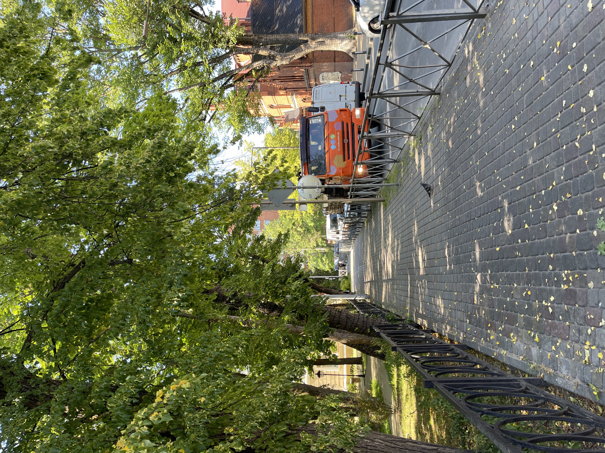 The image depicts a sun-drenched sidewalk in Zelenogradsk, Russia, lined with mature trees casting dappled shadows on the grey brick paving. A black metal fence separates the sidewalk from a street where an orange KAMAZ truck is visible, alongside a white van and a white car. Yellow leaves are scattered across the sidewalk, suggesting it is autumn. A pigeon stands on the sidewalk in the foreground. In the background, red brick buildings and more trees are visible, indicating an urban setting. The sky is clear and blue.