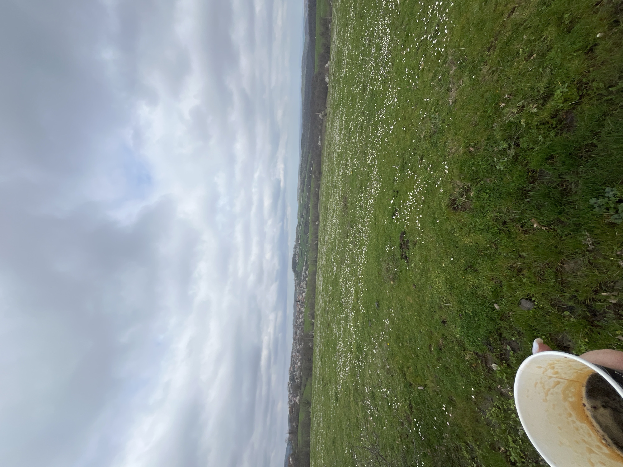 The image shows a meadow covered in grass and small white flowers. In the distance, there is a view of a town with buildings clustered together. The sky is overcast with gray clouds. In the foreground, a person is holding a white paper cup with a dark liquid inside, likely coffee. The location is Zidarovo, Bulgaria.
