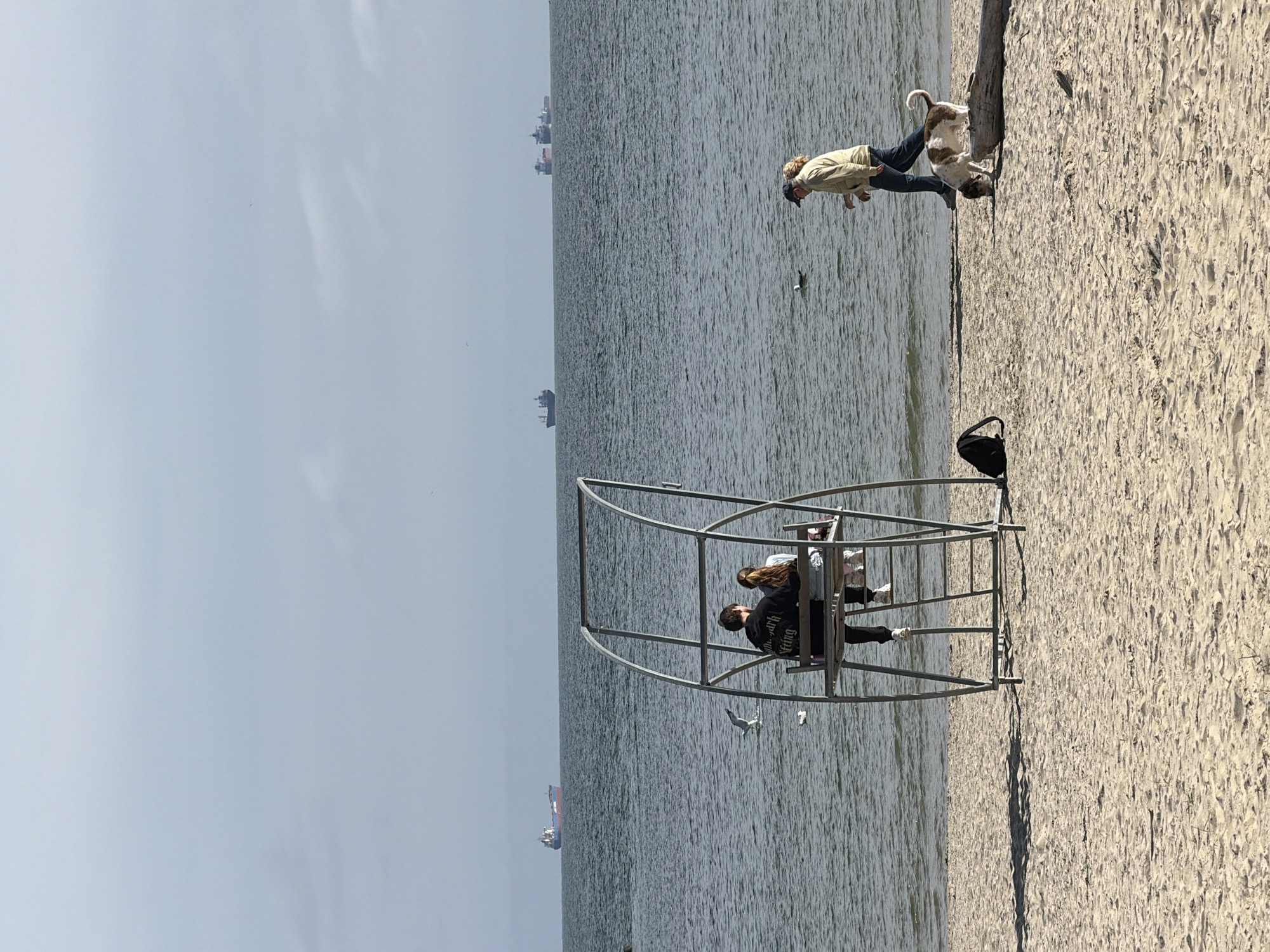 This image captures a vibrant beach scene in Varna, Bulgaria, on a clear, bright day. The foreground features a wide stretch of light-colored sand, meeting a calm, expansive body of water, likely the Black Sea. The sky above is a pale, hazy blue with minimal cloud cover.
In the upper right portion of the beach, a person dressed in a light-colored jacket, blue jeans, and a dark cap is seen walking near the water's edge. They are accompanied by a medium-sized dog with brown and white fur, which appears to be sniffing or interacting with the sand or water. A dark black bag rests on the sand further down the beach.
Dominating the mid-ground, closer to the viewer, is a distinctive, open-framed metal structure, possibly an art installation or a unique seating arrangement. Inside this structure, a couple is seated, facing away from the camera. The man on the left wears a dark jacket, and the text "Monarch Fling" is visible on its back. The woman beside him has long, light-colored hair and is partially obscured. They appear to be relaxing and observing the sea.
Several distant cargo ships or tankers are visible on the horizon, scattered across the vast body of water. A few seagulls are seen flying or floating on the water near the shore, adding to the serene coastal atmosphere. The overall impression is one of leisure and tranquility by the sea.