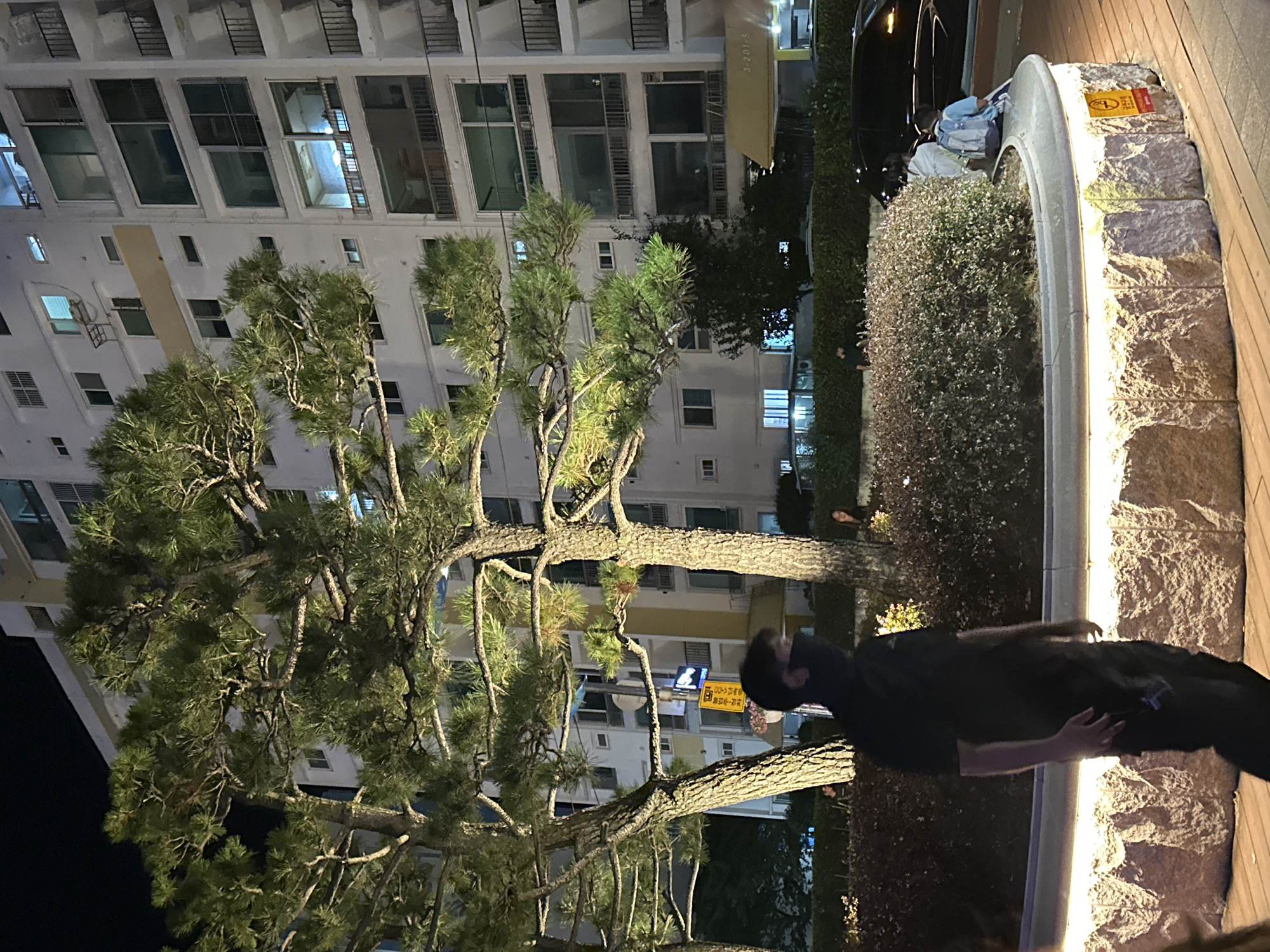 This is a vertical, medium-distance, night-time exterior shot of an apartment building in Busan, South Korea. In the foreground, a person wearing a black mask and black clothing stands in front of a low, illuminated stone planter filled with bushes. To the left and center are two large pine trees with their branches illuminated. Behind the trees and planter is a multi-story apartment building with many windows and balconies. The building appears to be a light color, possibly white or off-white. A yellow awning is visible on the first floor of the building. To the right of the planter, two people are sitting, one with a backpack. A black car is parked to the right of the scene. The overall scene suggests a residential area at night.
