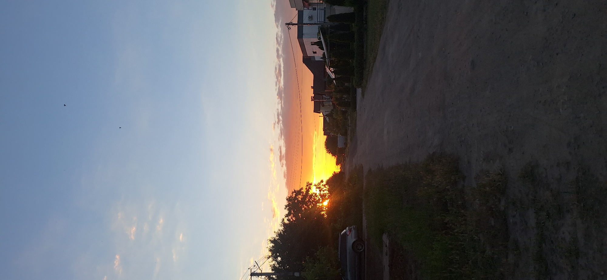 An outdoor, vertical, eye-level, full shot captures a rural road at sunset in Unknown, Unknown. The sky is a gradient of soft blues and pinks, with a few scattered clouds and several small birds in flight. The sun, a brilliant orange, is setting behind a dense cluster of trees on the left side of the frame, its rays filtering through the branches and casting a warm glow. A dark-colored station wagon is parked on the left side of the road, partially obscured by tall green grass and vegetation. The road itself is unpaved and dusty, stretching into the distance and appearing to curve slightly to the right. Along the right side of the road, several houses are visible, with varied architectural styles and rooflines. Some of the houses have manicured hedges and small trees in front of them, while others appear to be in earlier stages of development. Power lines run across the upper part of the frame, casting faint shadows on the houses. The overall scene conveys a sense of peacefulness and the end of a day in a quiet, semi-rural setting.